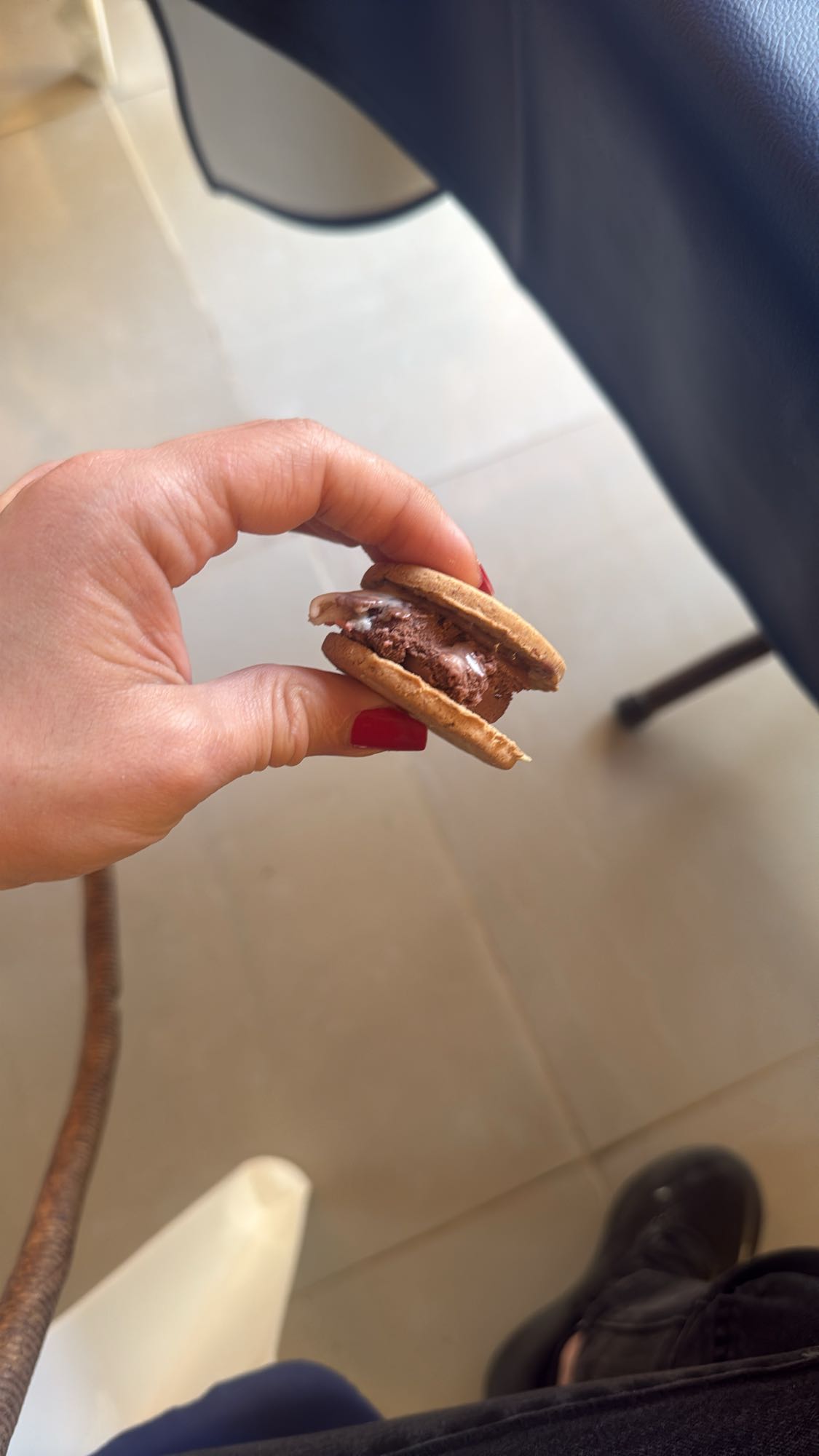 Ice Cream Sandwich