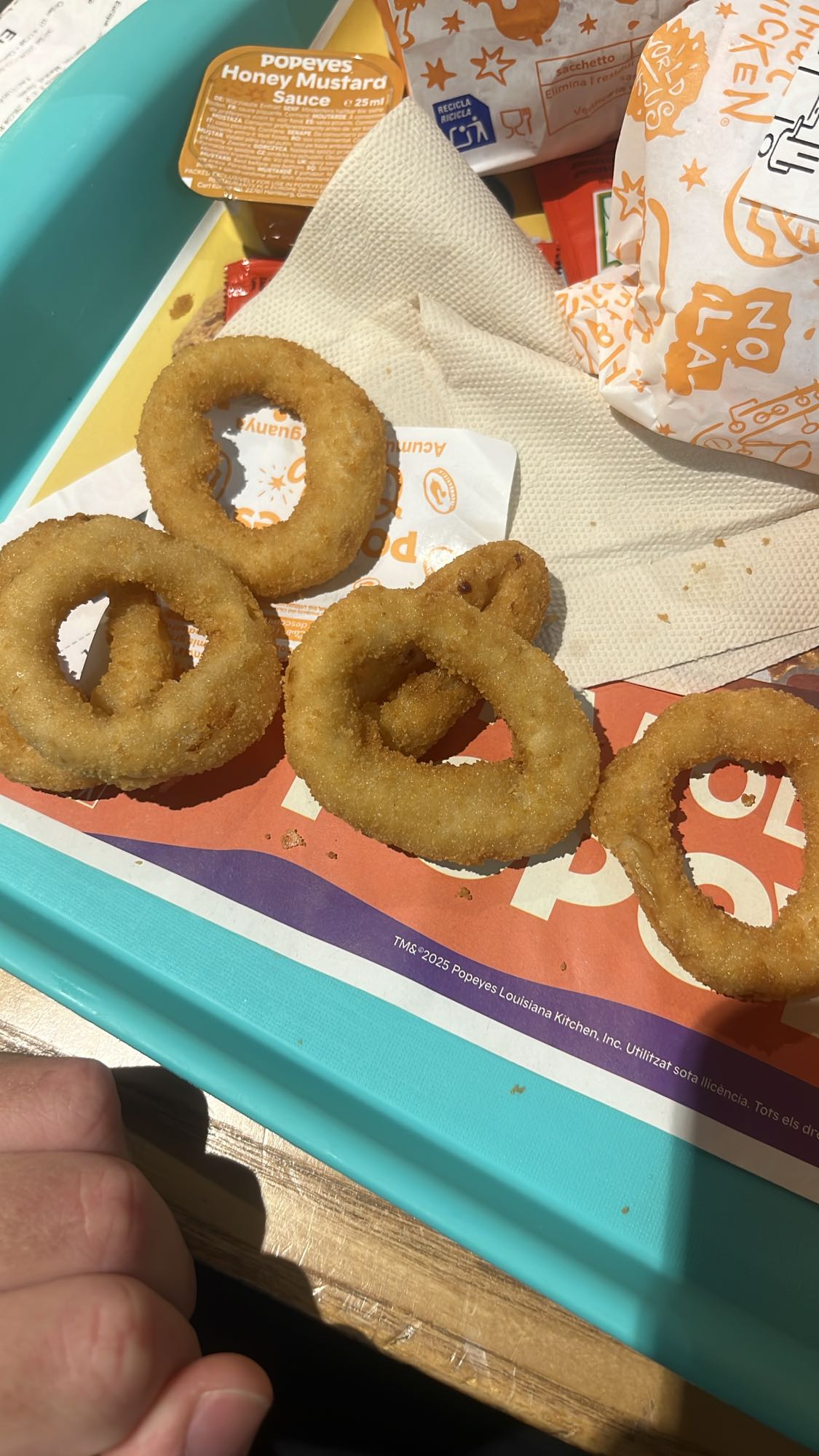 aros de cebolla con salsa