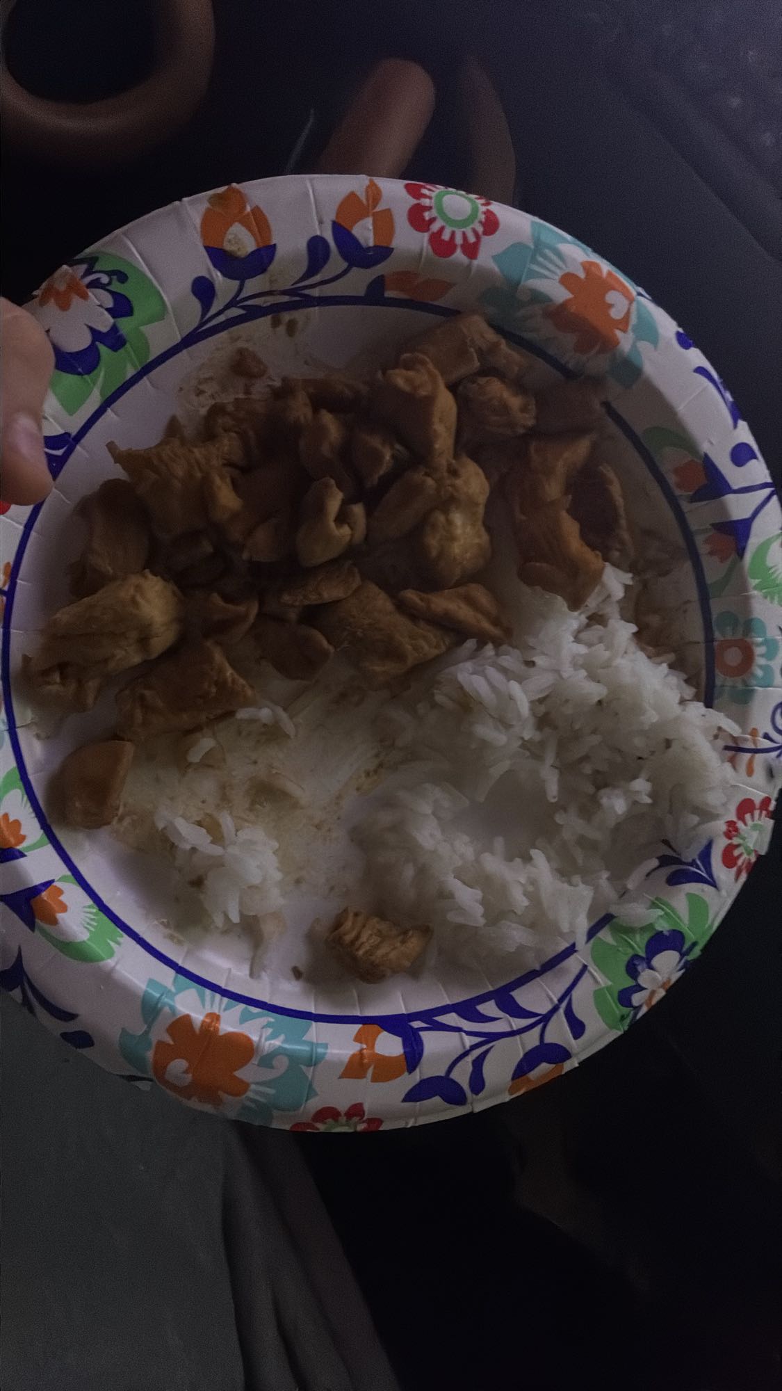 Chicken and Rice Plate