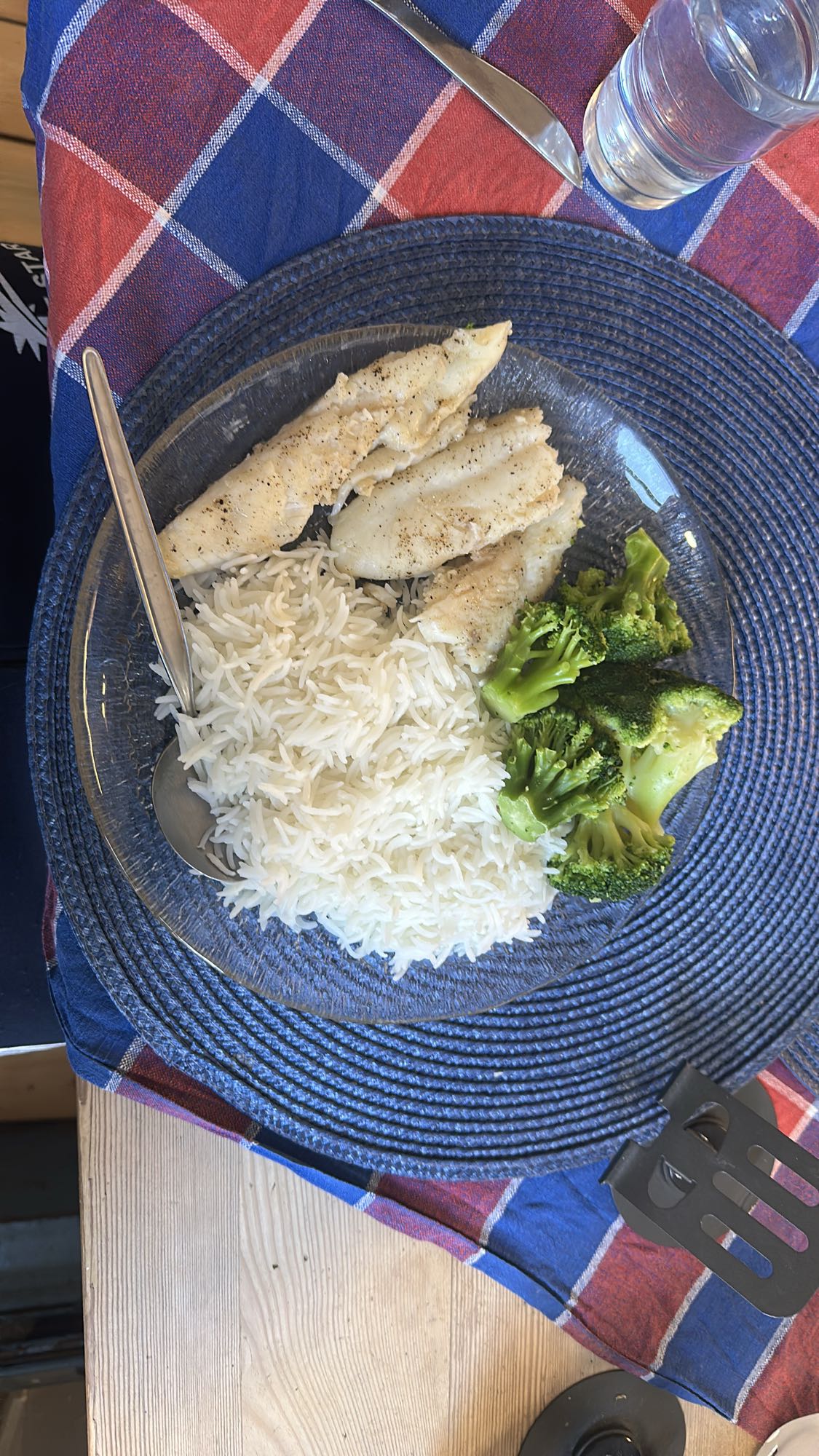 Fisk med ris och broccoli