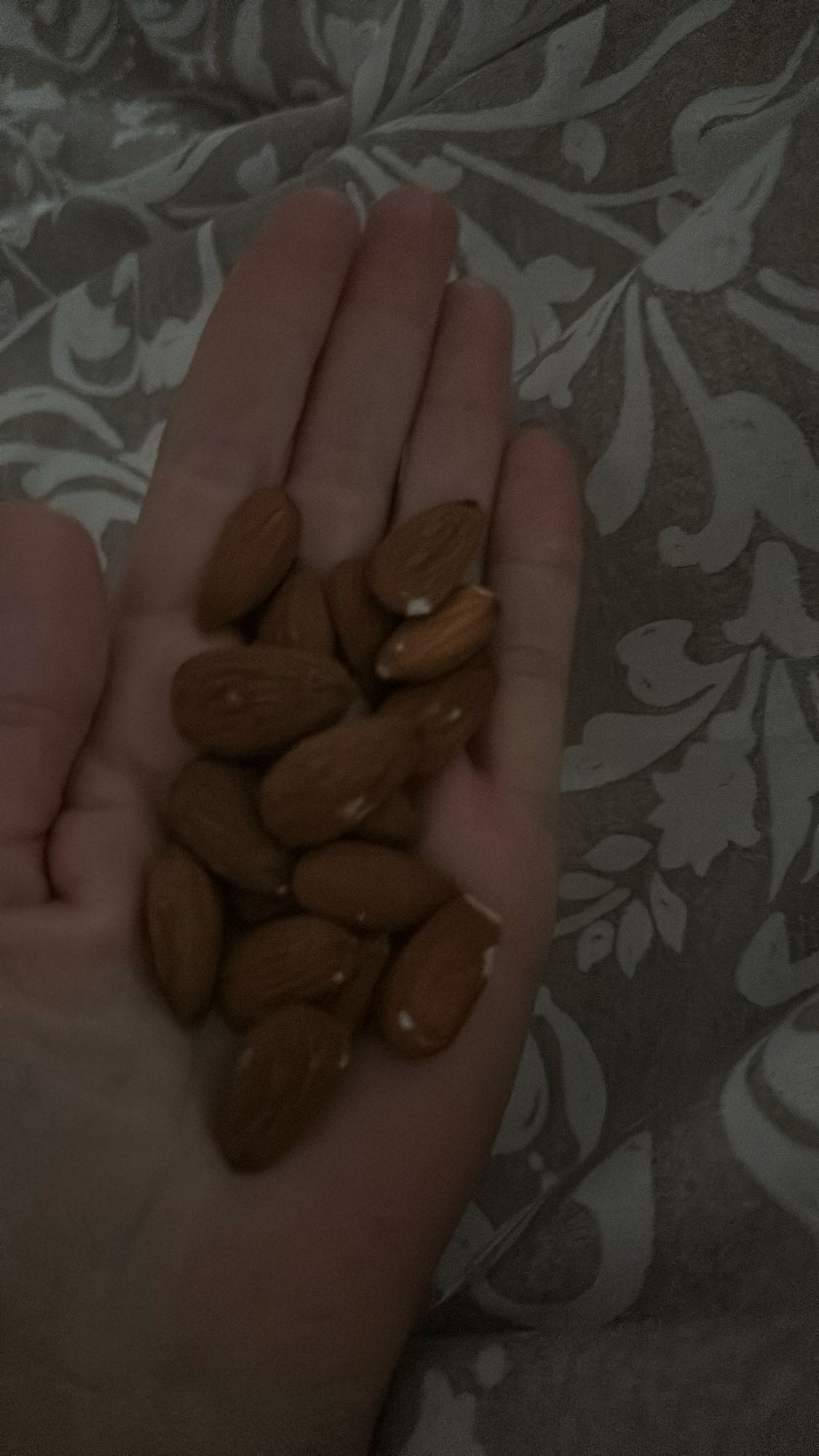 Handful of almonds