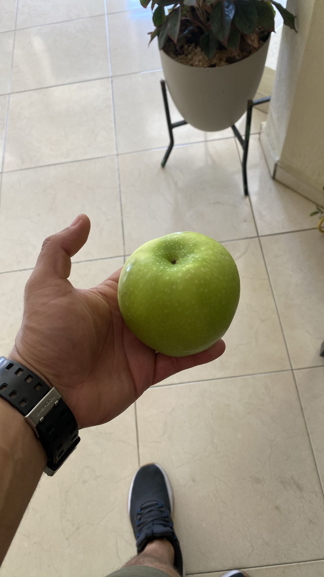 manzana verde