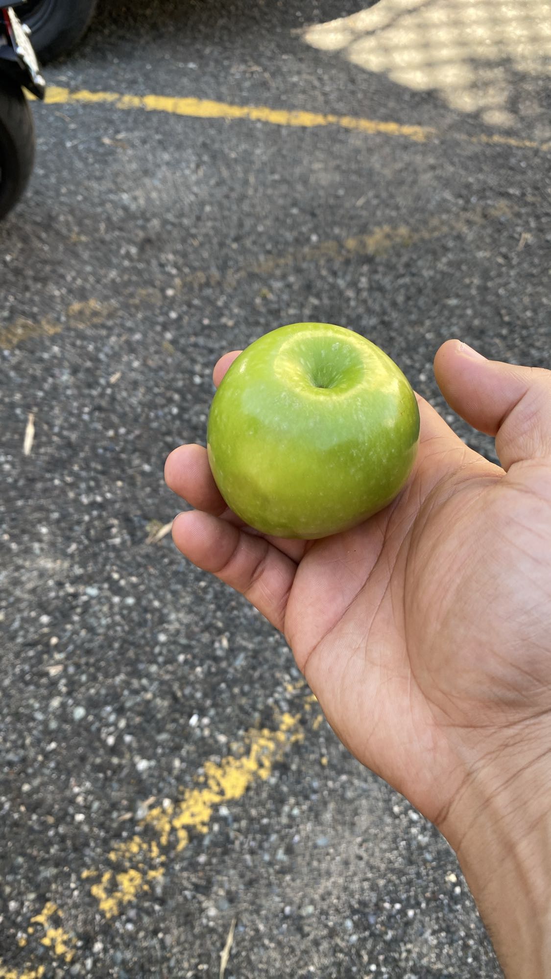 manzana verde
