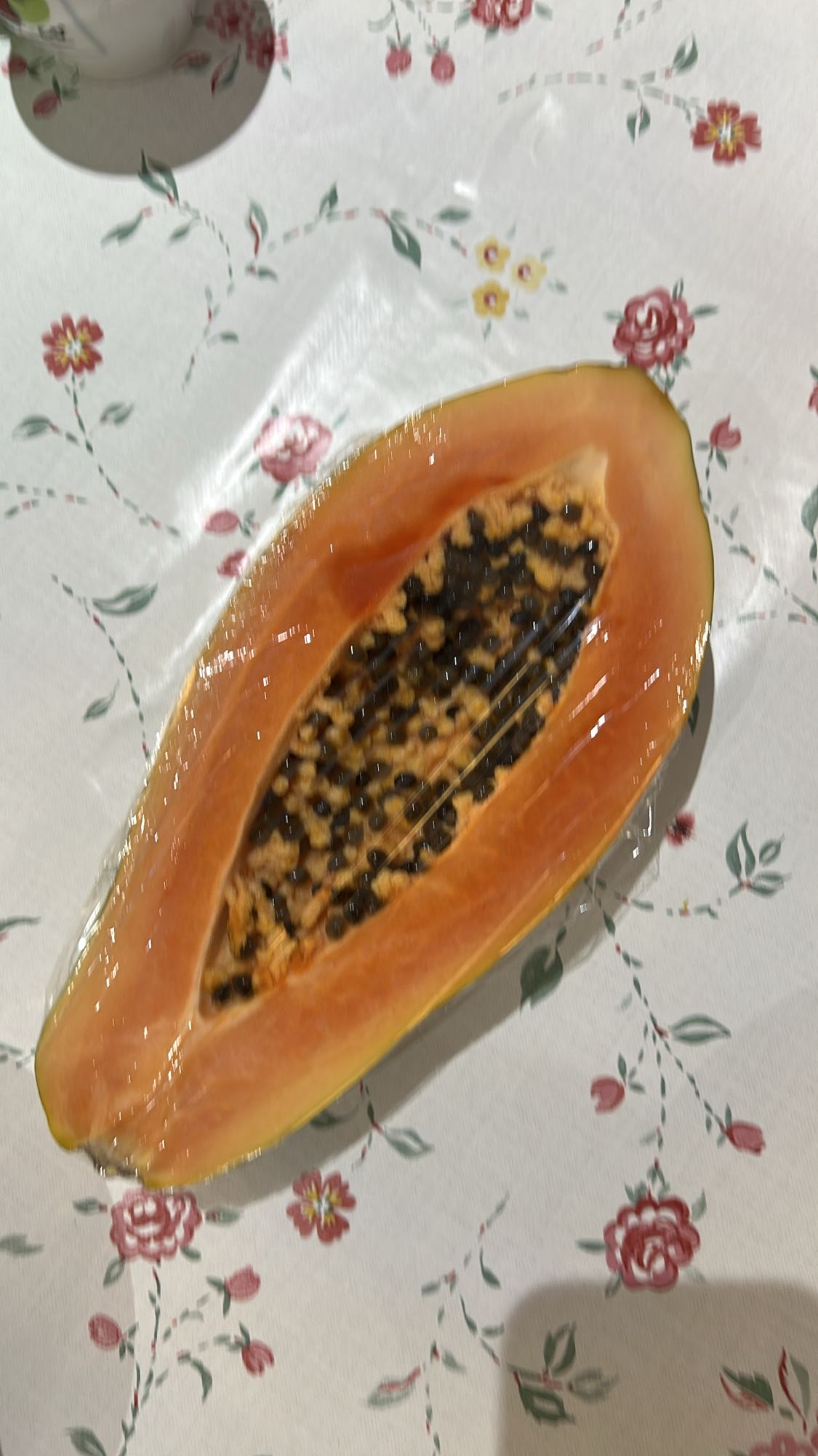 Papaia