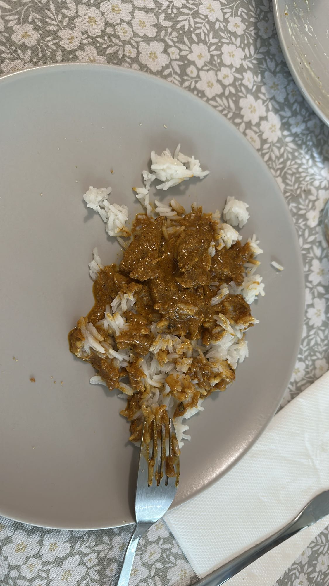 Rice with Beef Curry