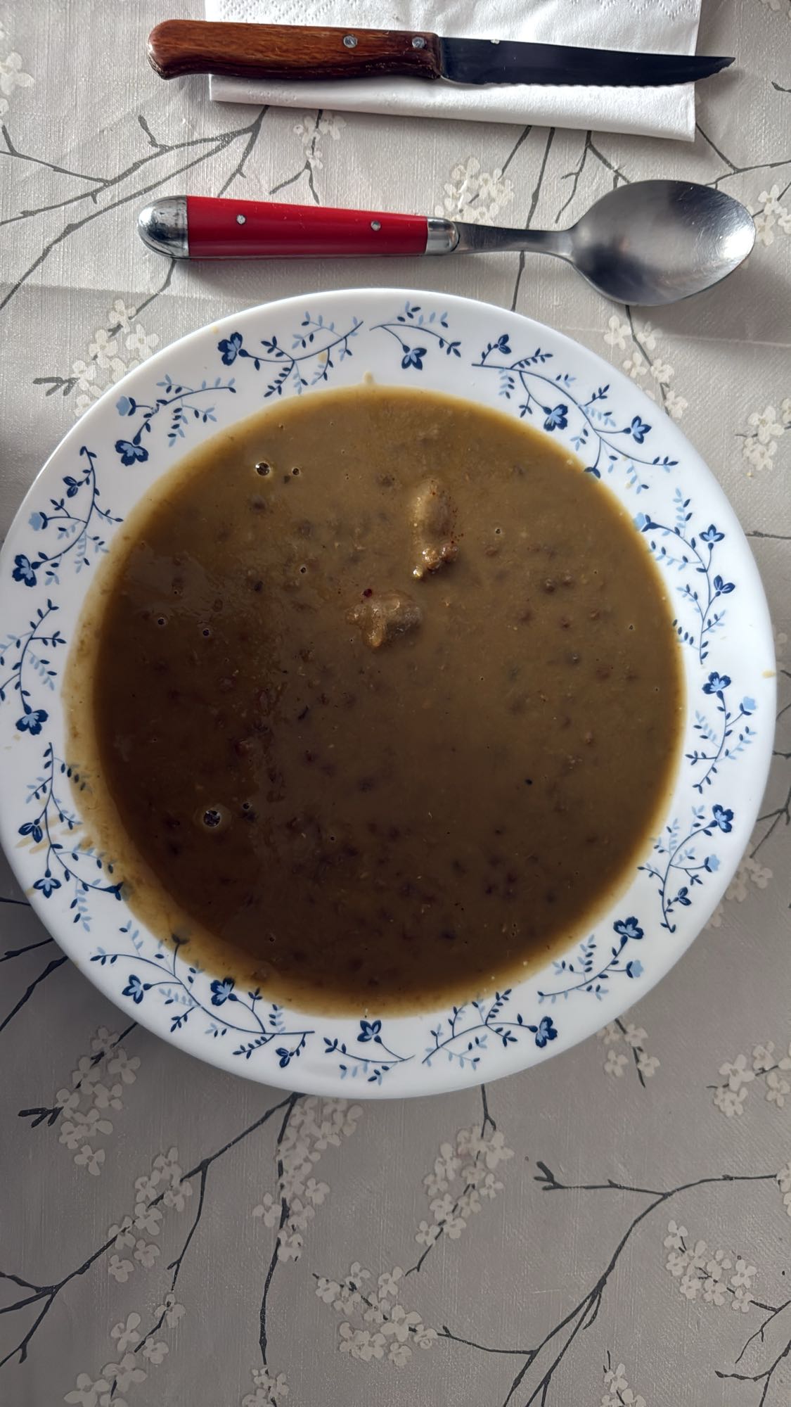sopa de lentejas