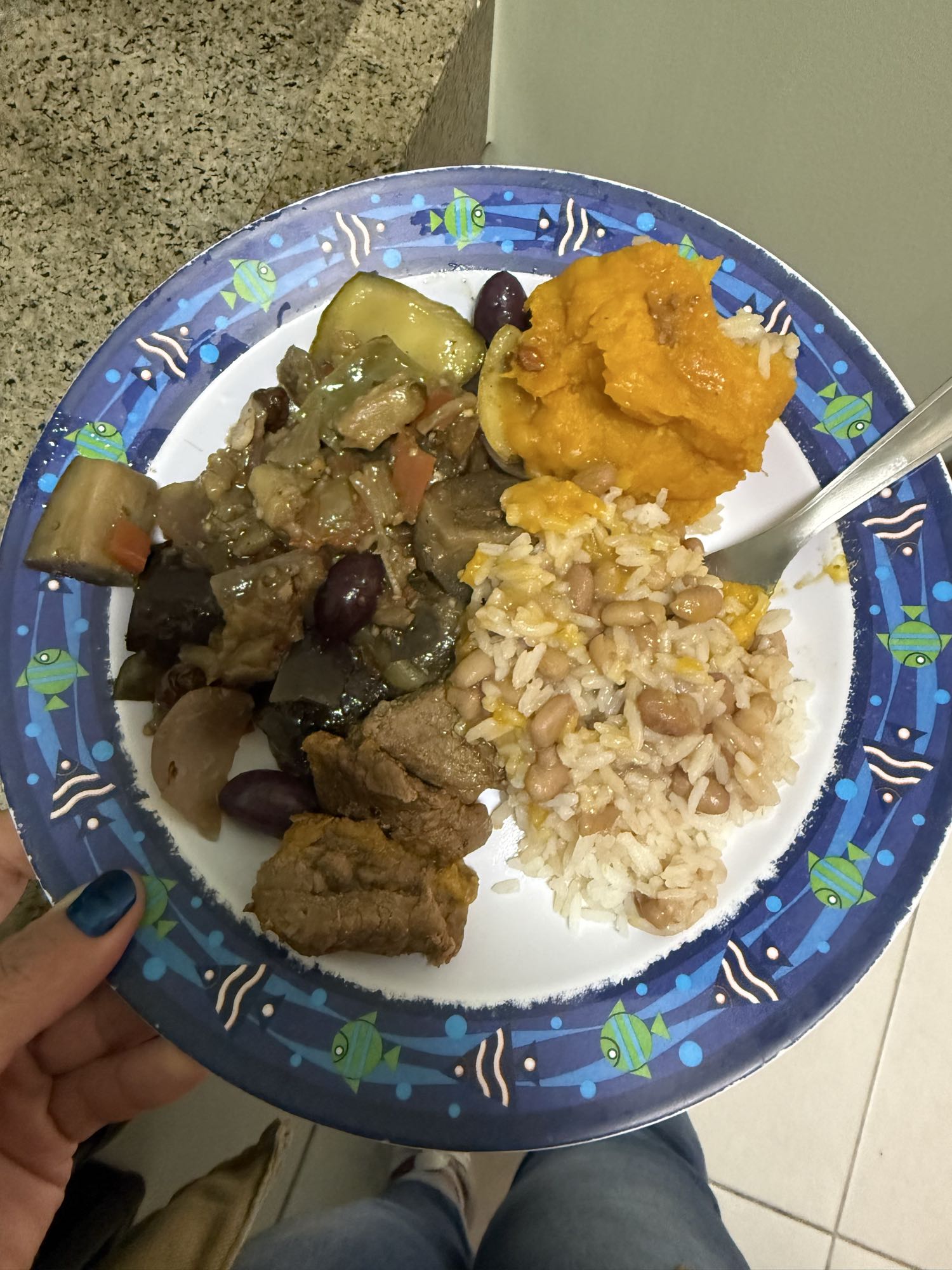 Prato com arroz e carne