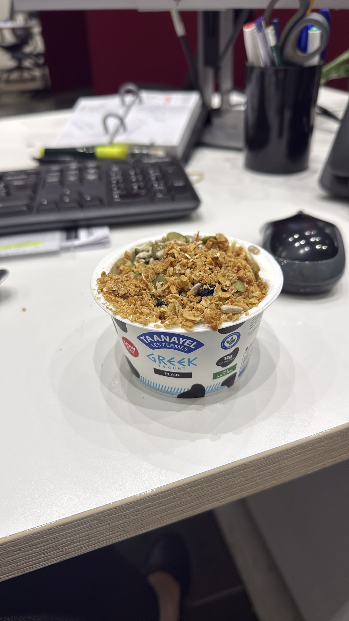 Greek Yogurt Granola