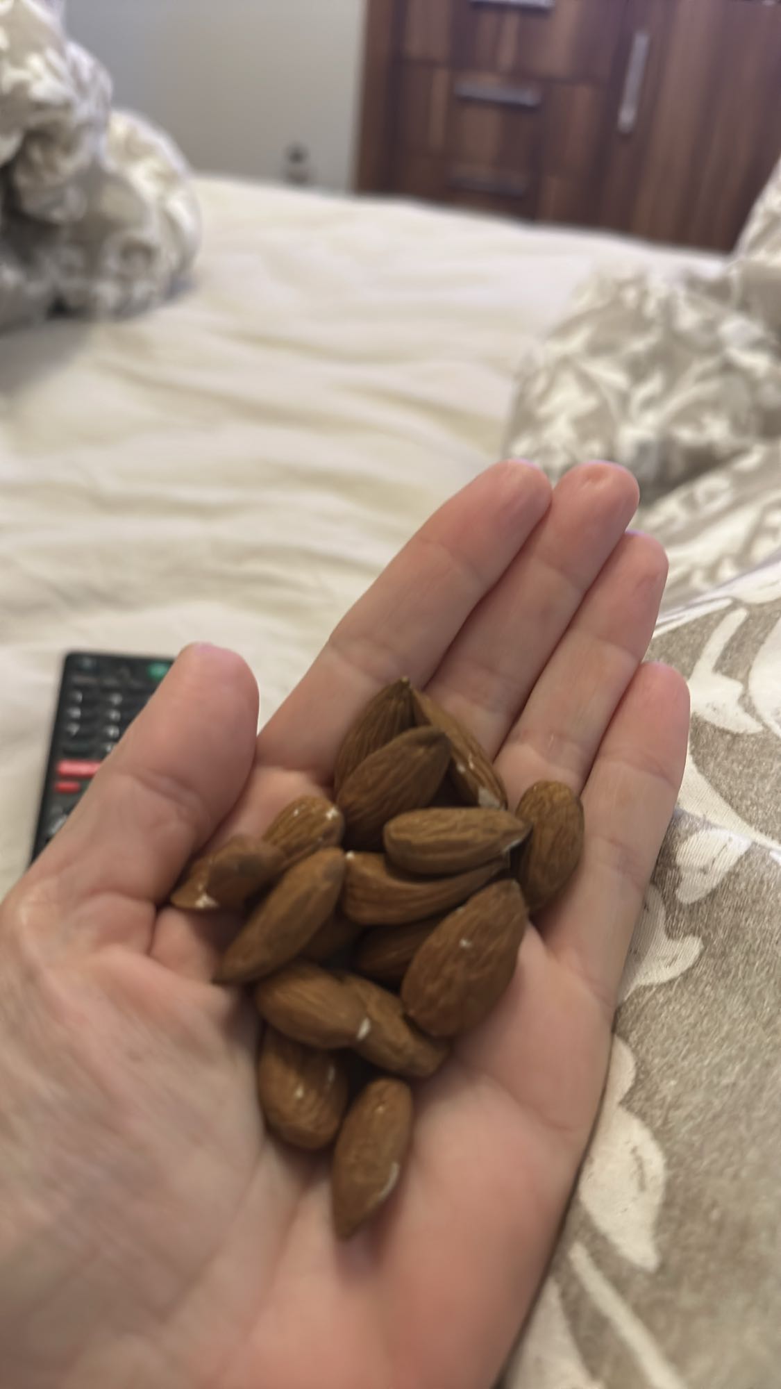 Handful of Almonds