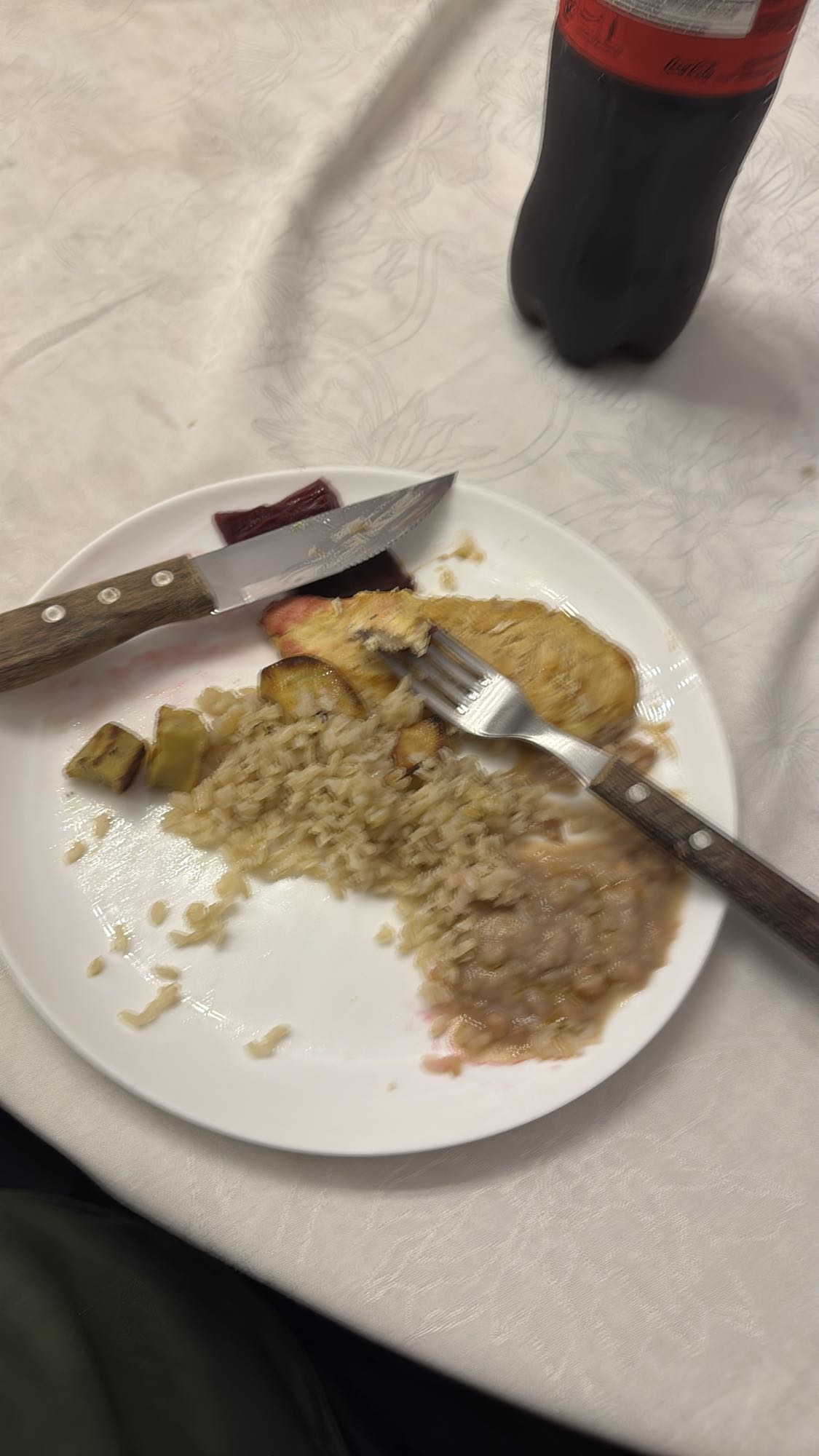 Arroz com frango e feijão