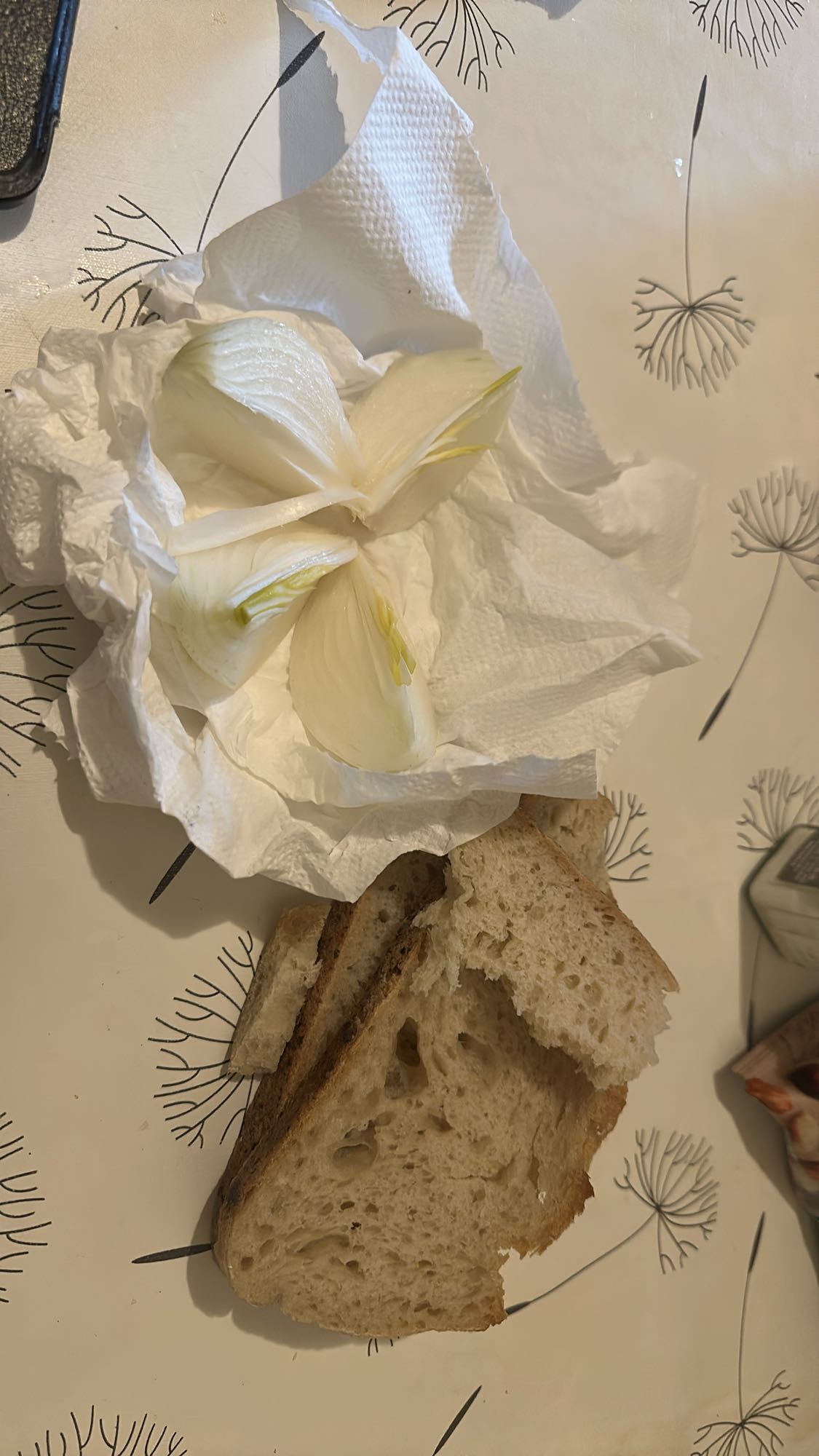 Raw Onion with Bread