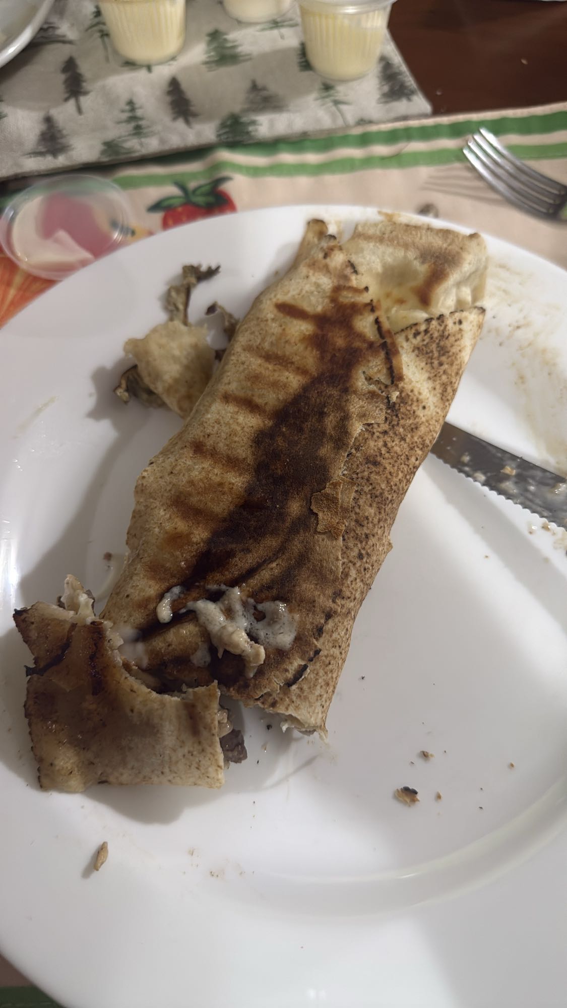 Grilled Beef Wrap
