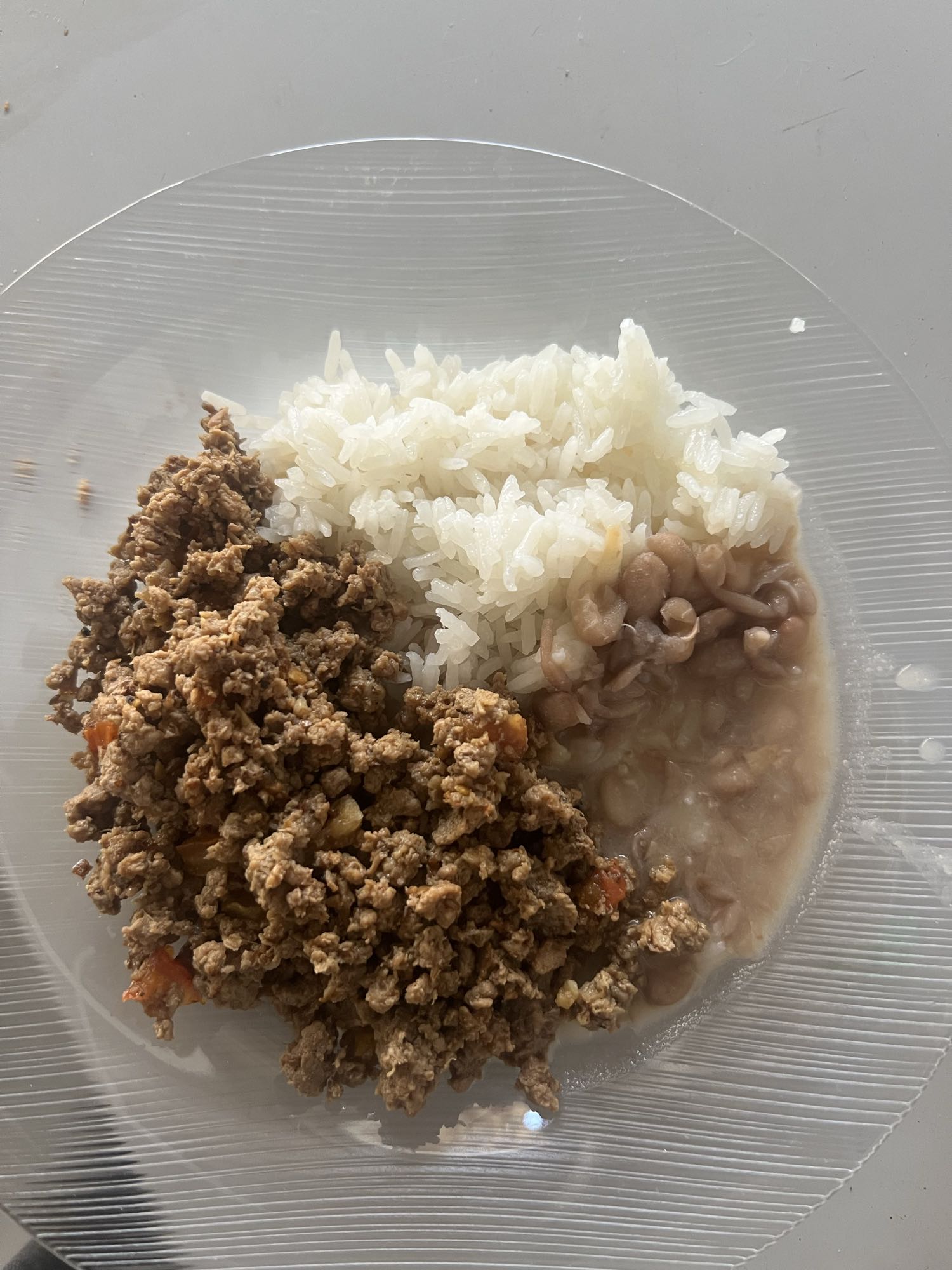 Arroz com carne e feijão
