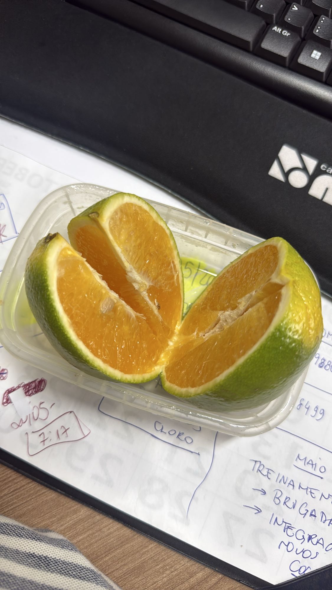 Laranja em gomos