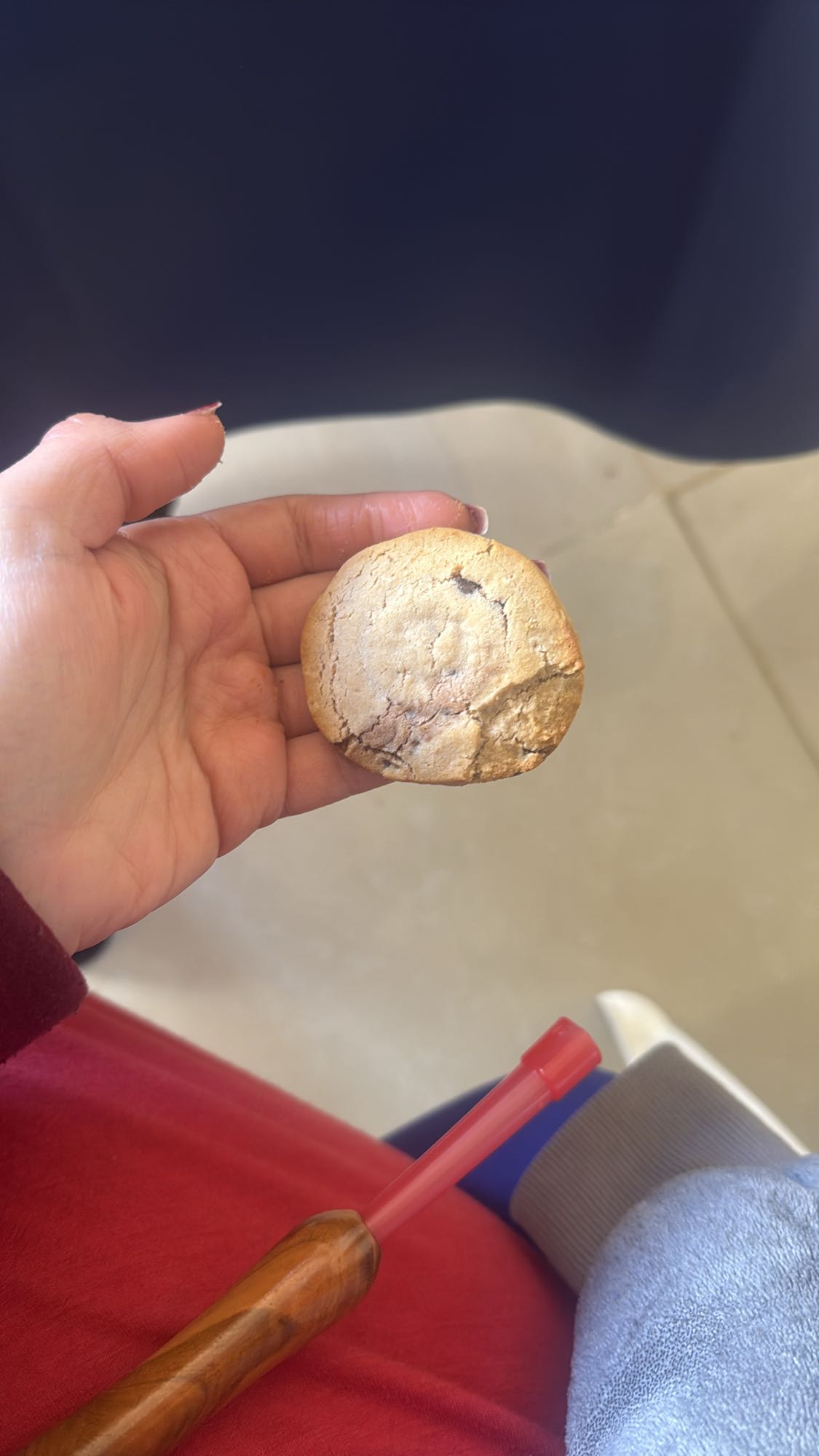 Chocolate Cookie