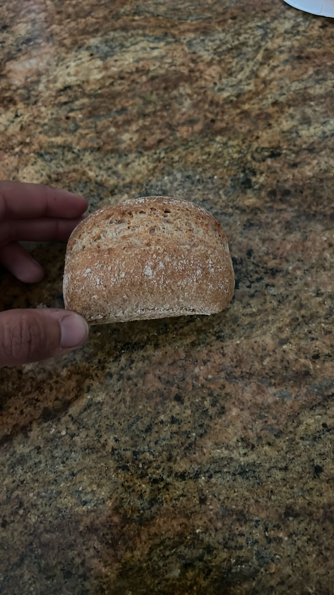 panecillo integral