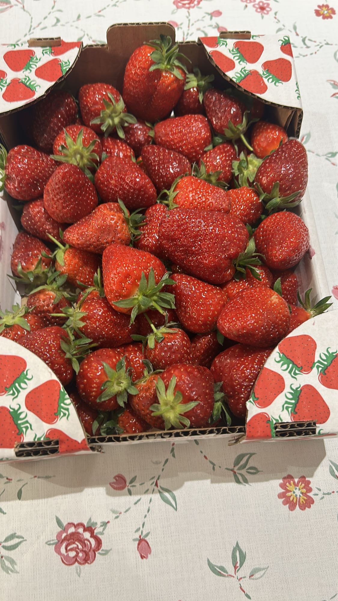 Fragole fresche