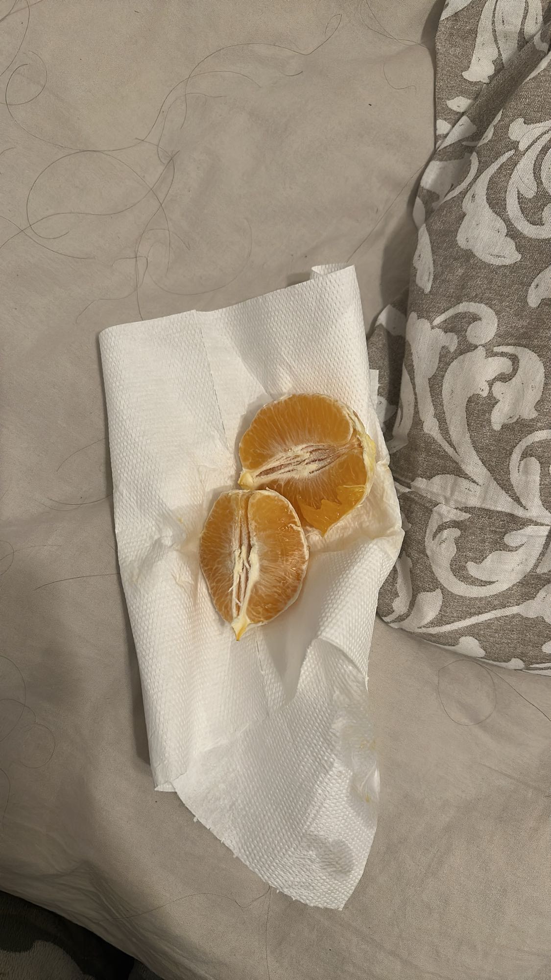 Mandarin Segments