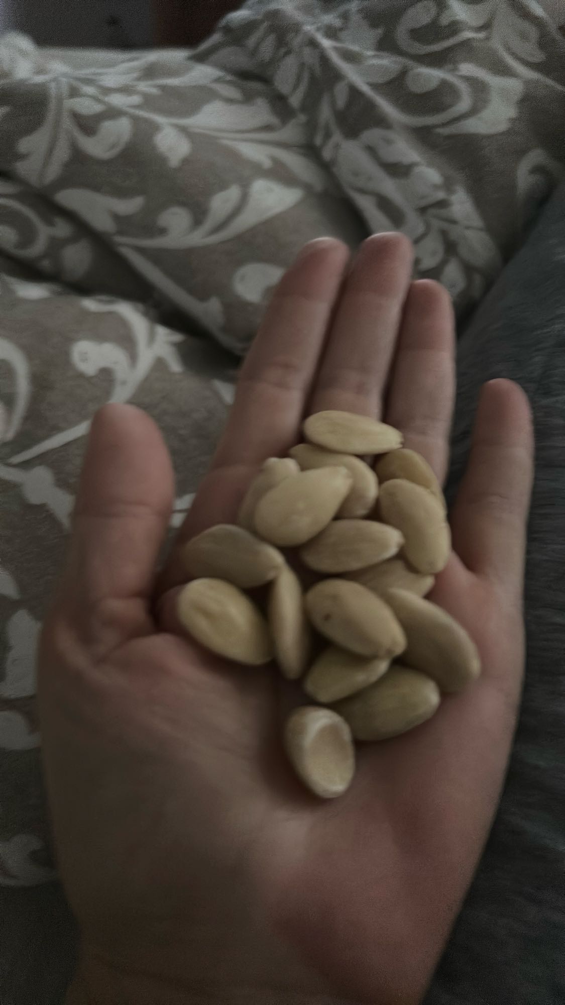 Handful of peanuts