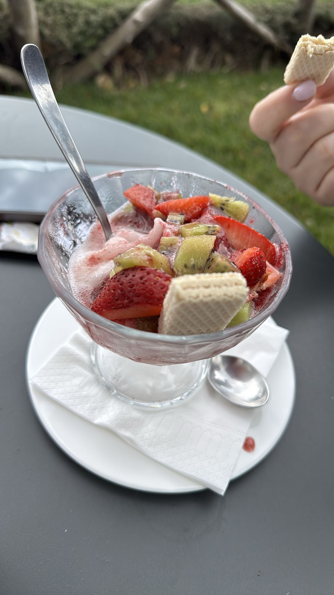 Fruit Ice Cream Cup