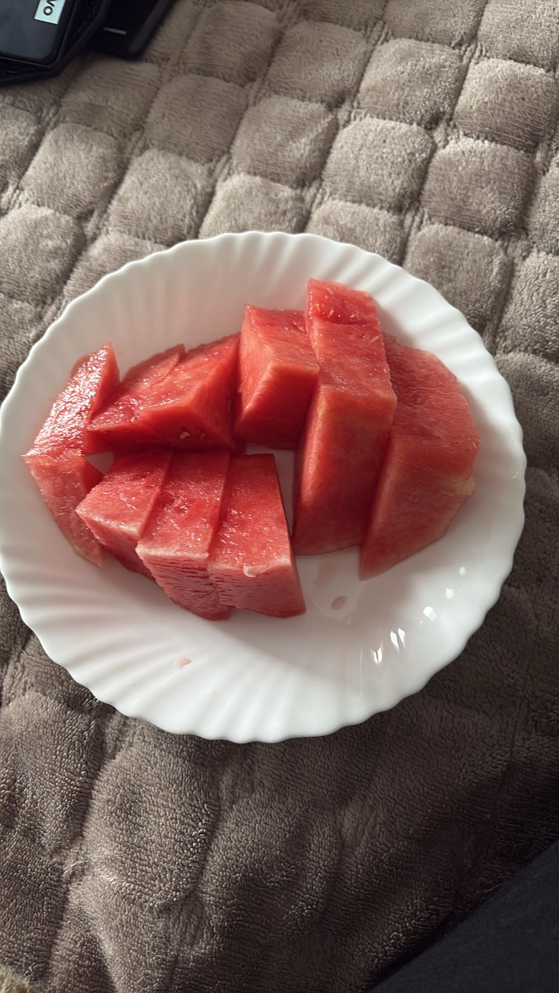 Vannmelonbiter