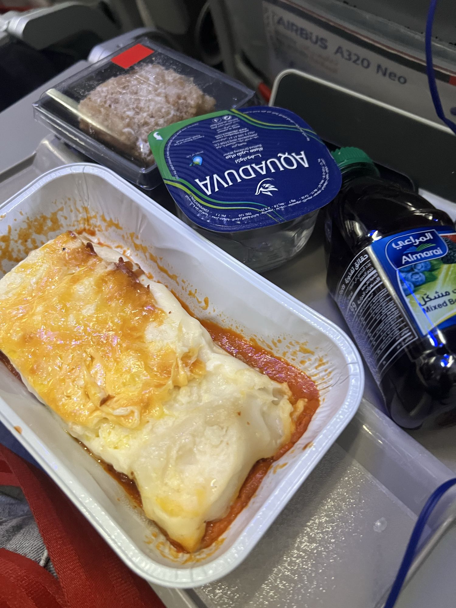Airline Lasagna Meal