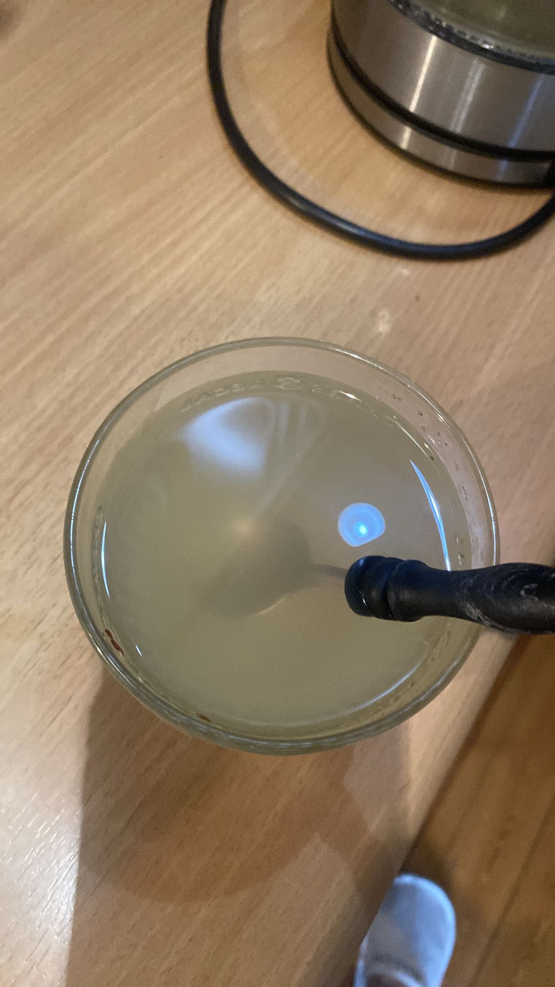 Lemoniada