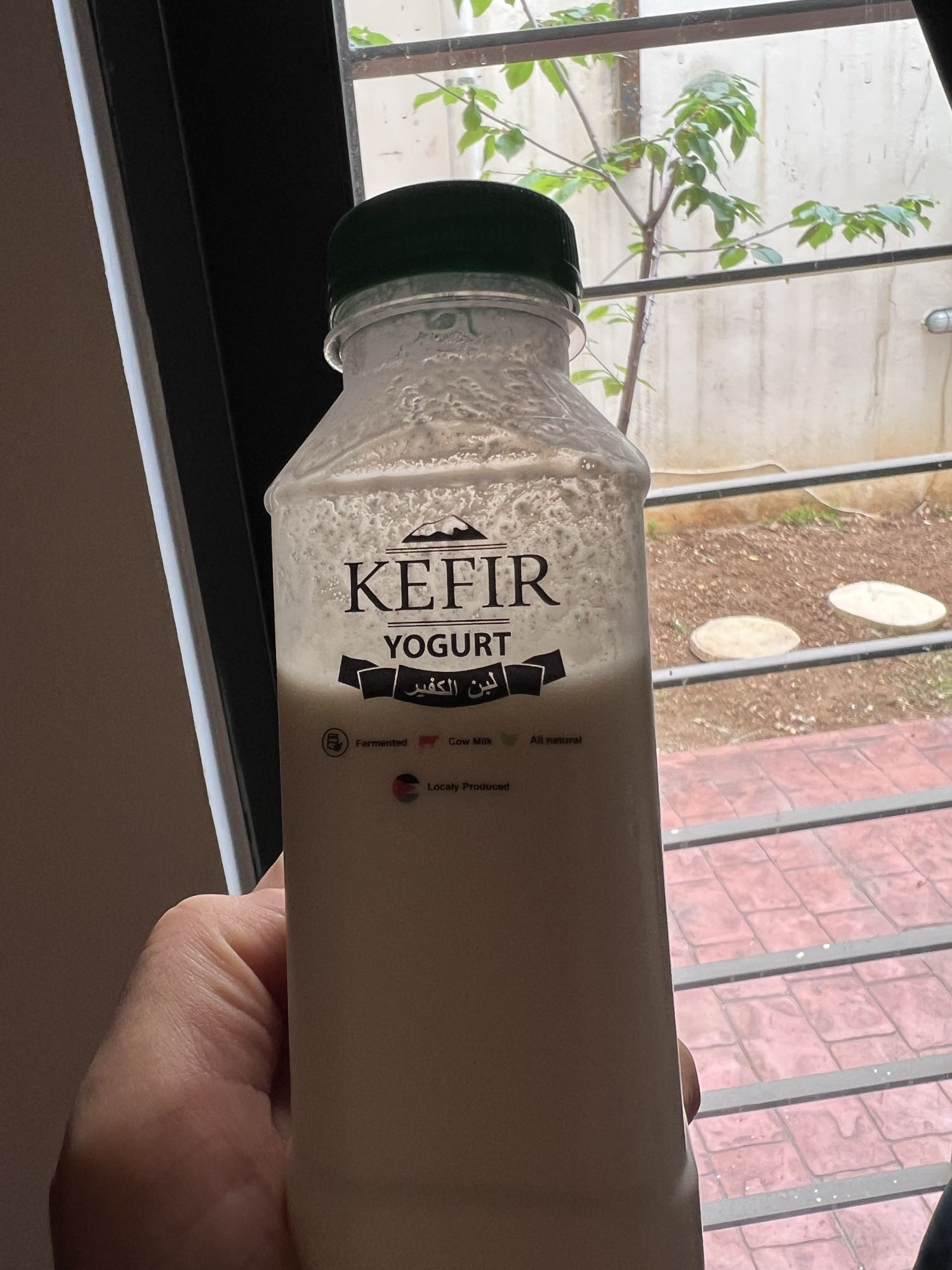 Plain Kefir Yogurt