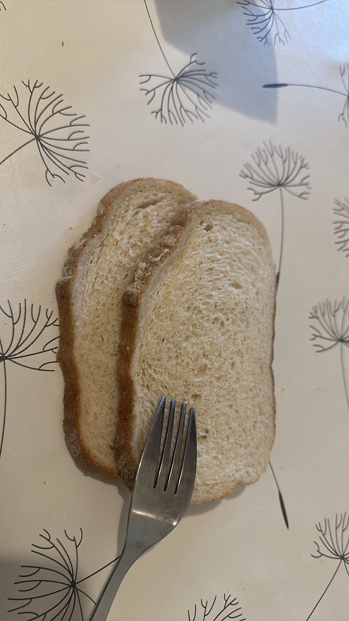 White Bread Slices
