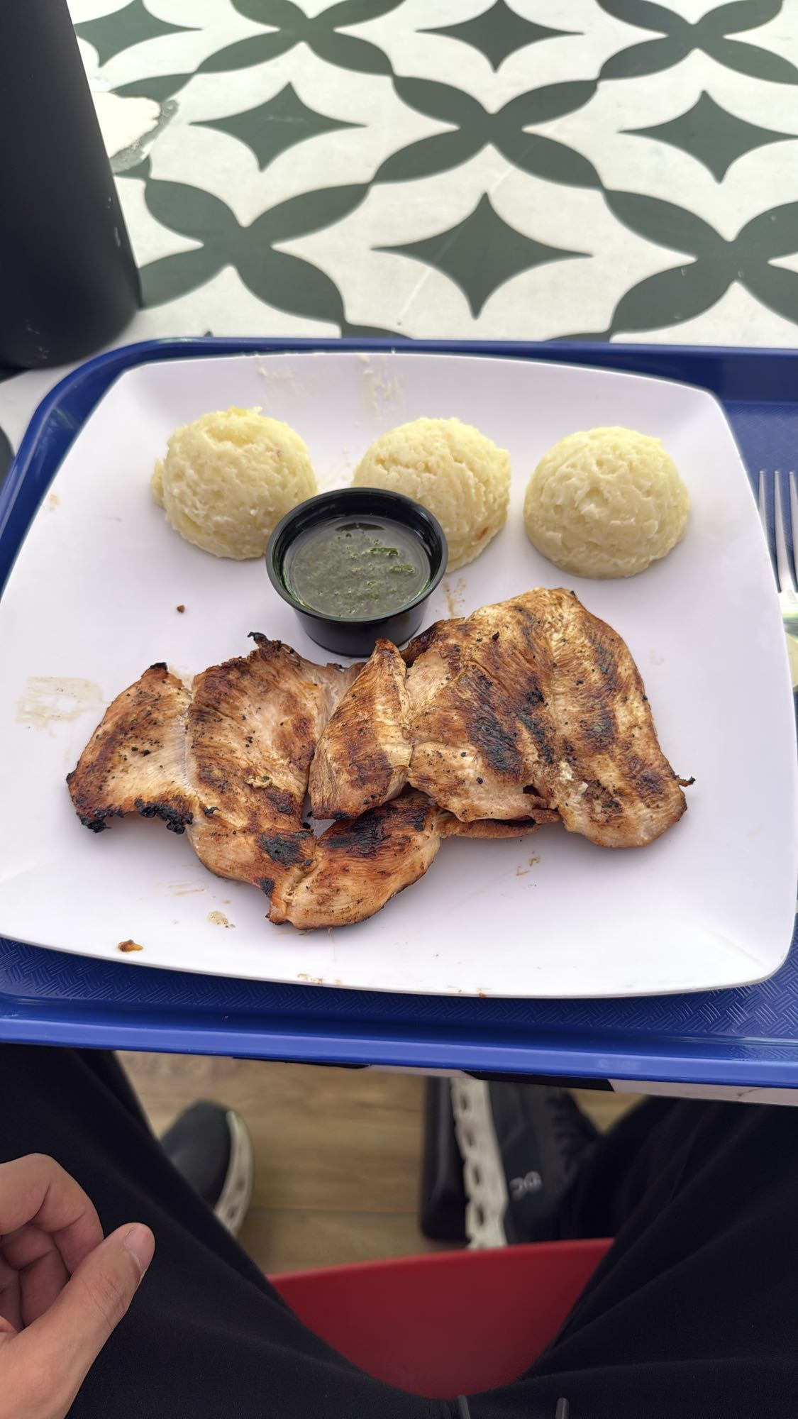 Grilled Chicken Plate