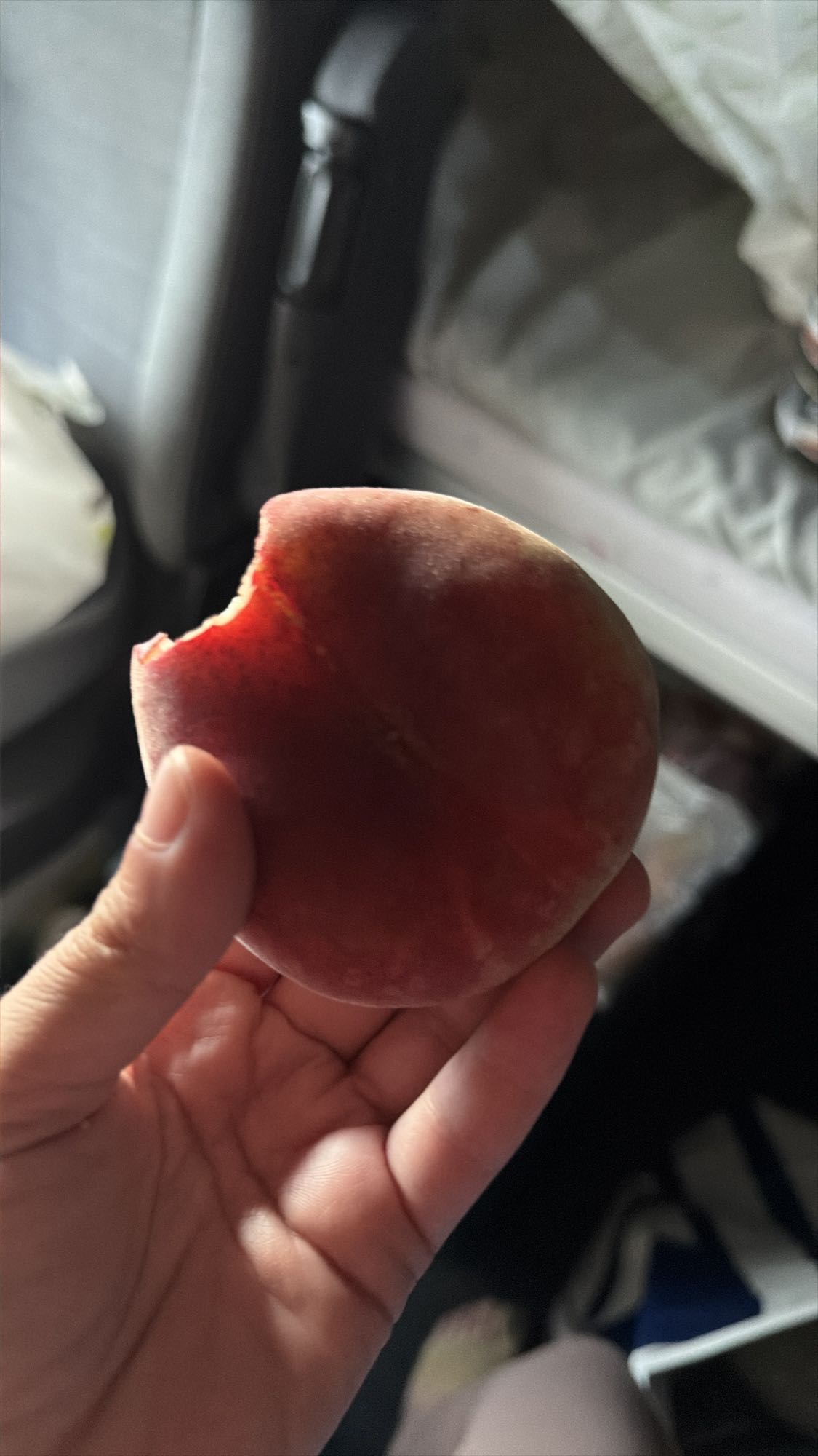 Piersică