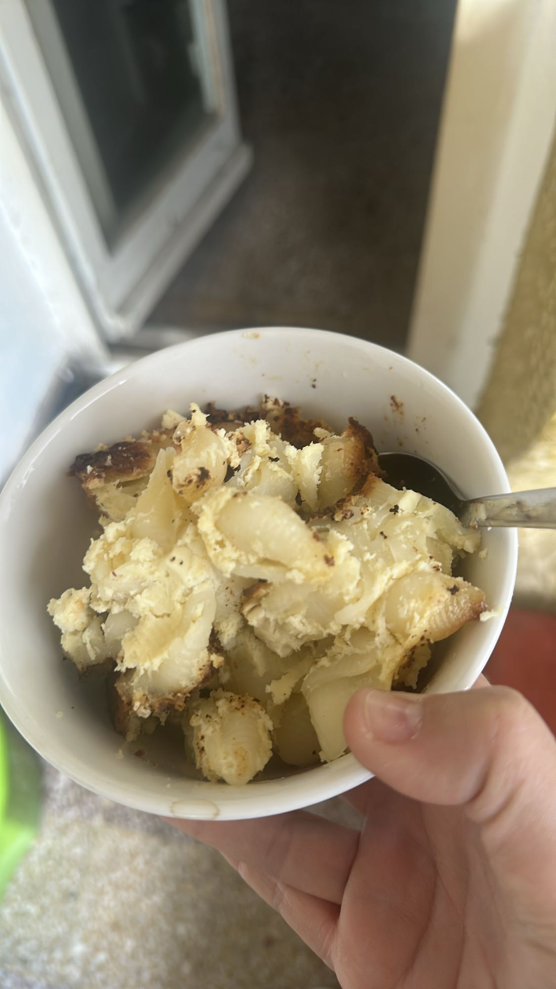 Baked Shell Pasta