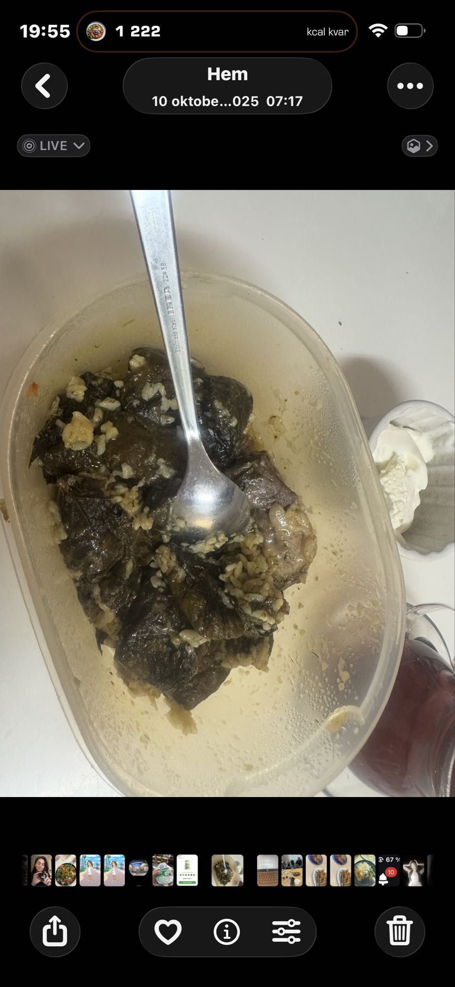 Dolma med yoghurt