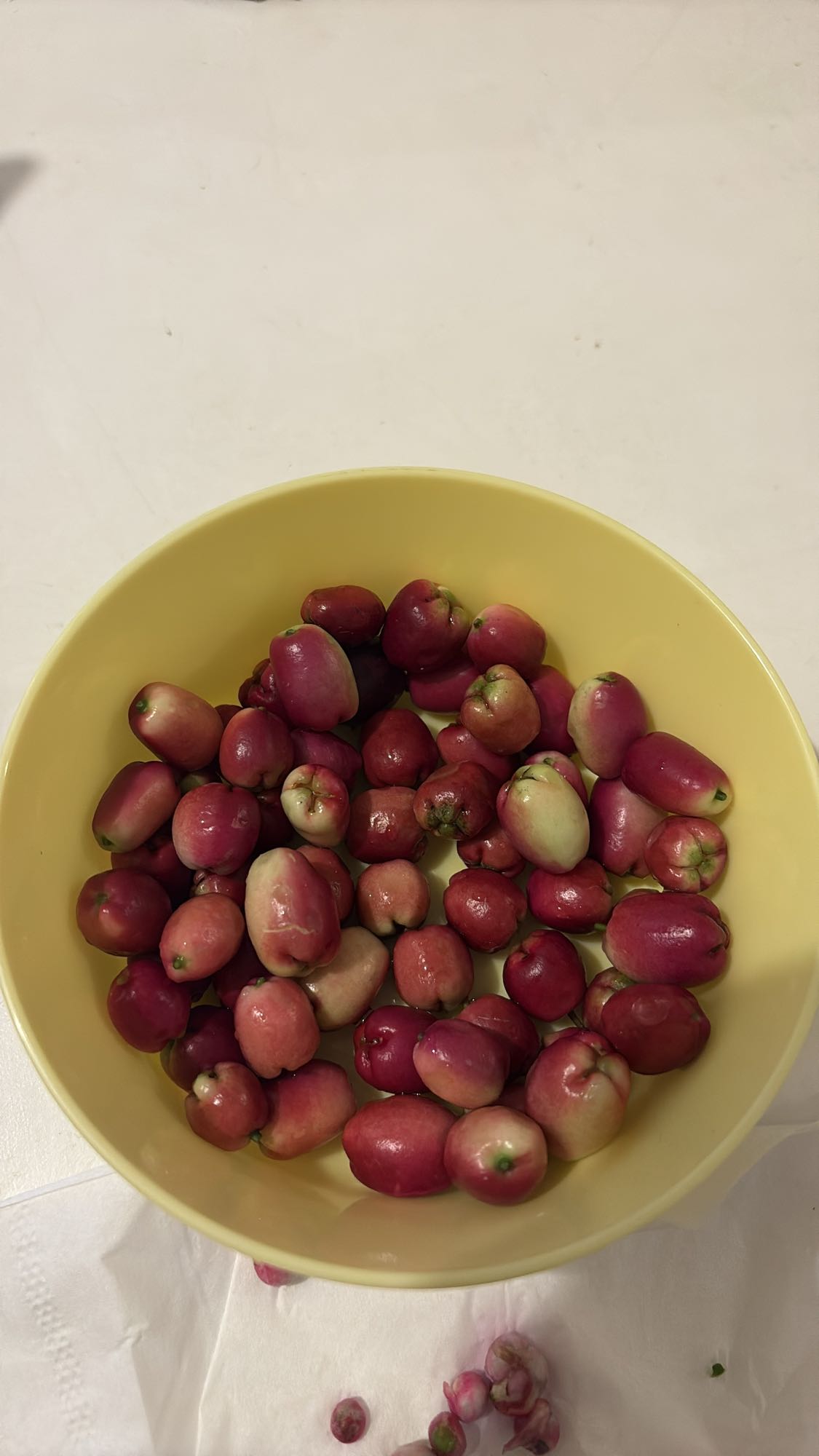 Rose Apples