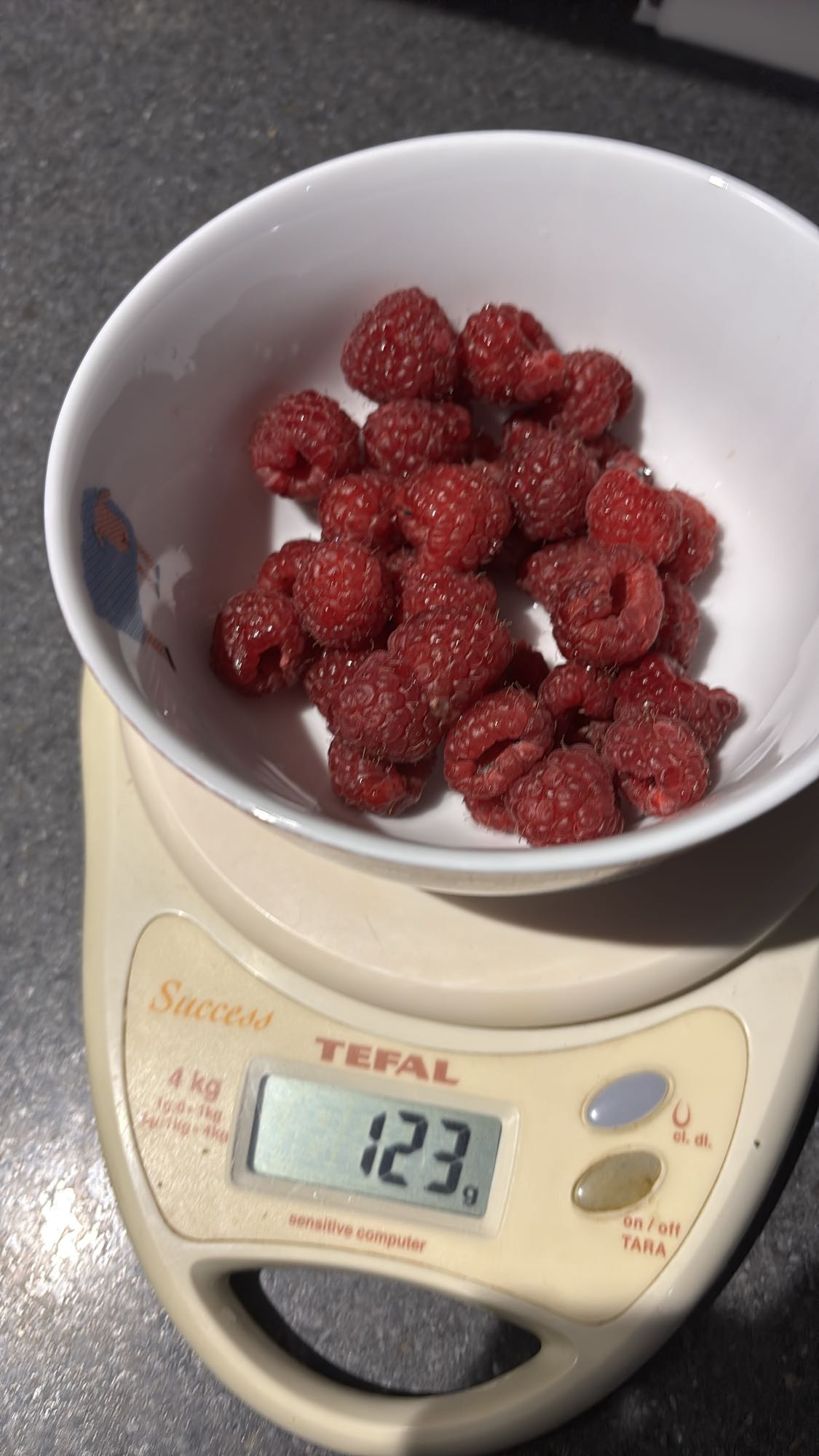 Framboises fraîches