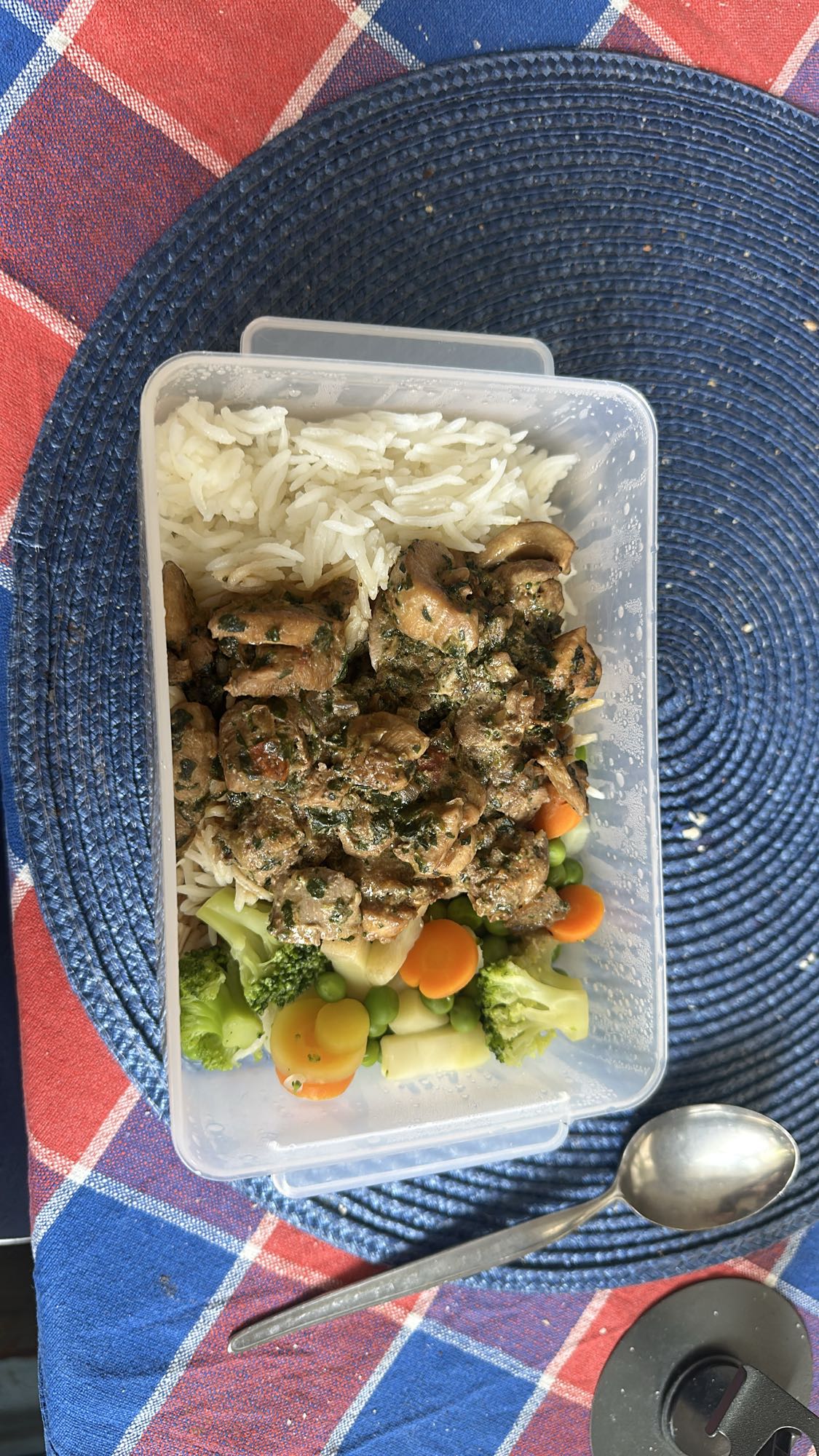 Ris med kött och grönsaker