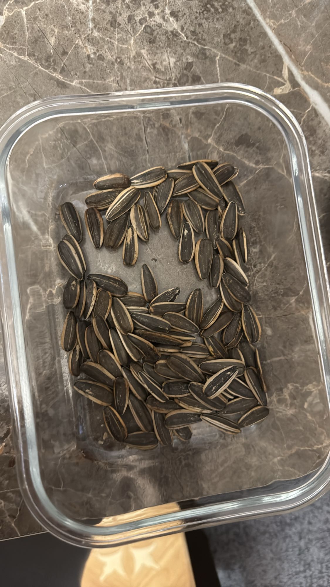 Sunflower Seeds