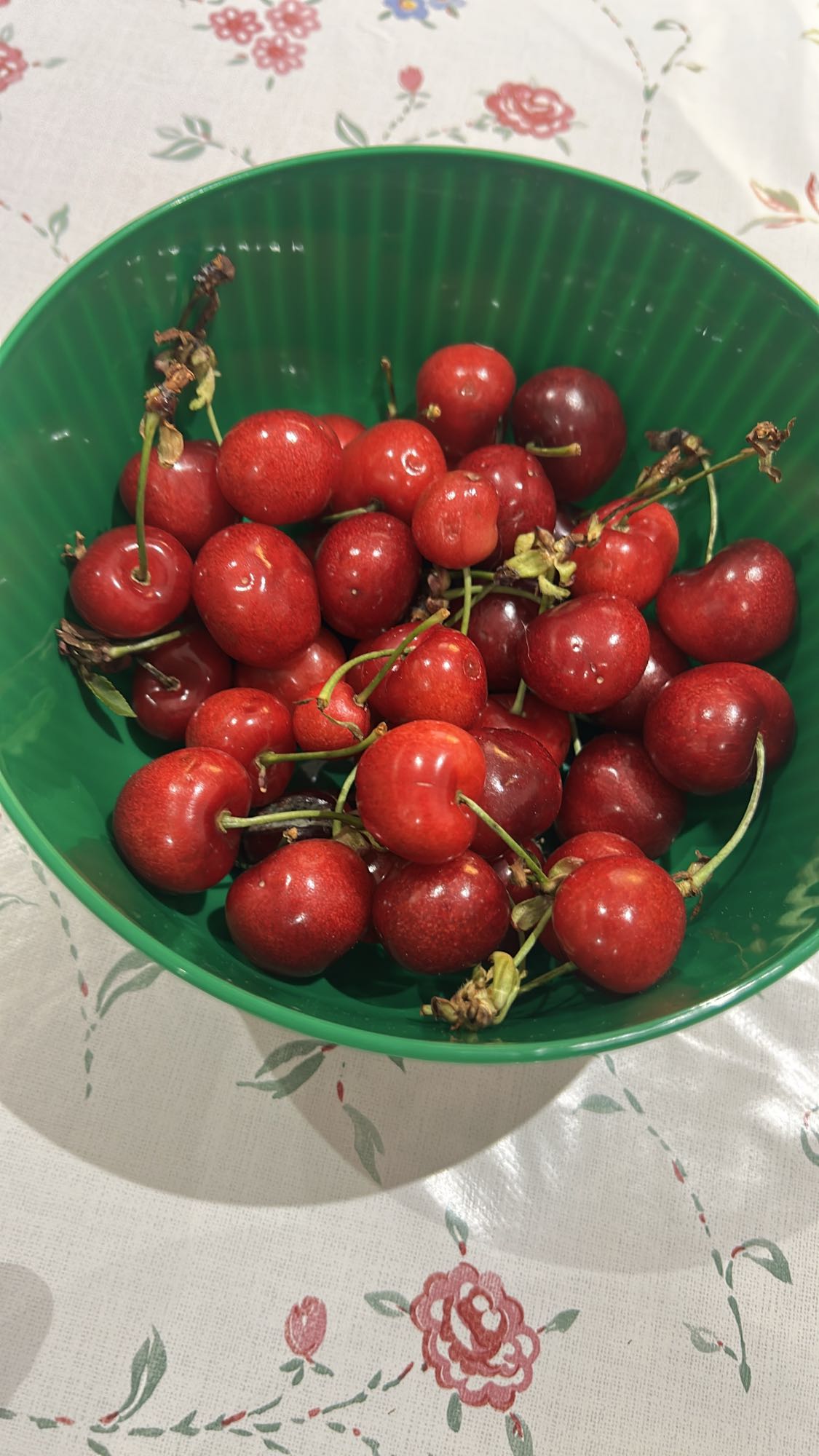 Ciliegie fresche
