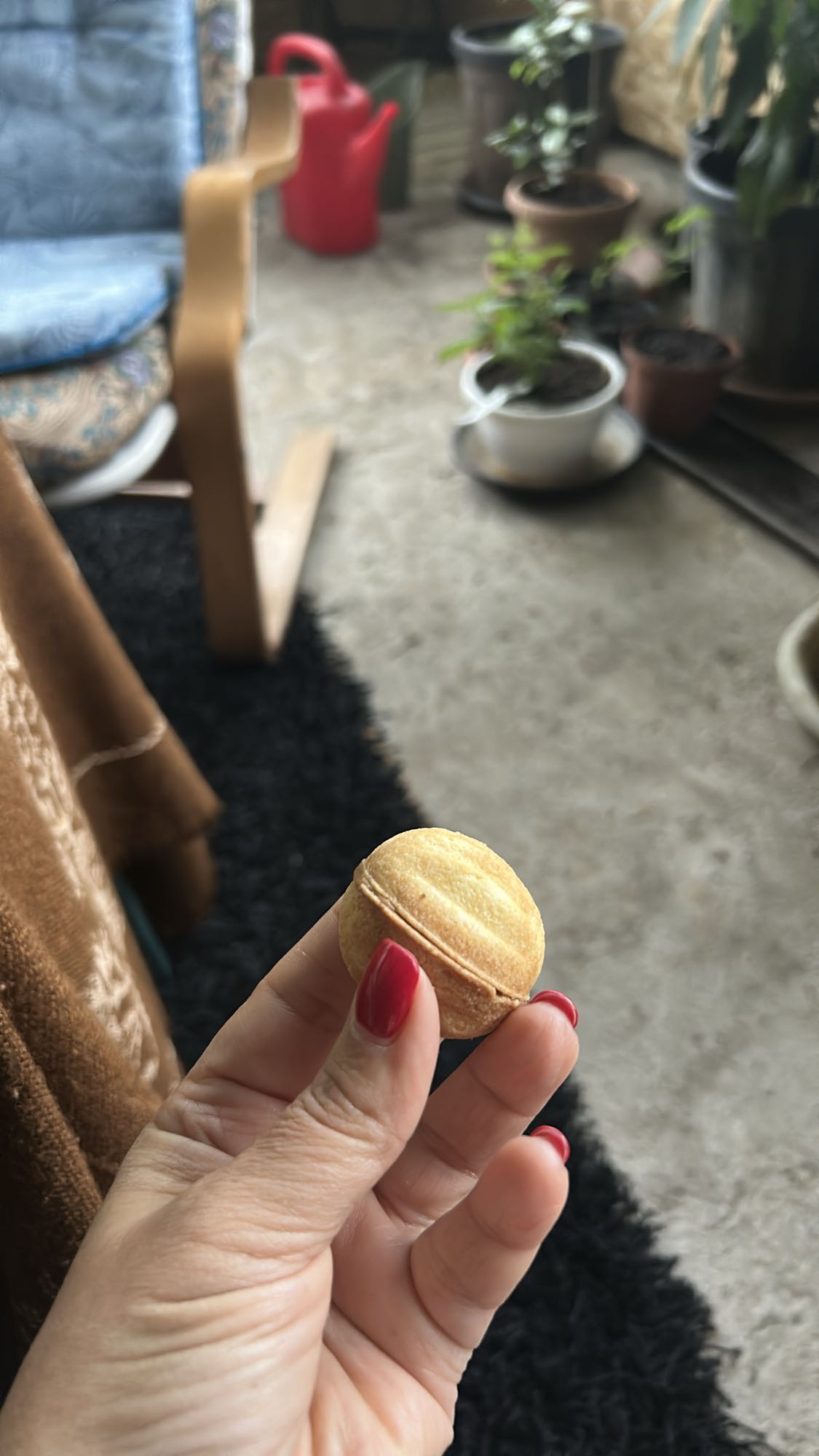 Biscuit tip nucă