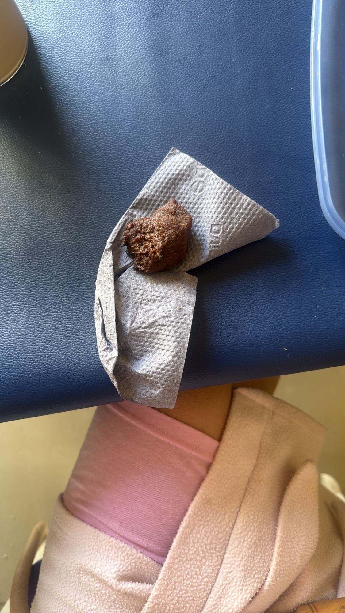 Fried Meatball