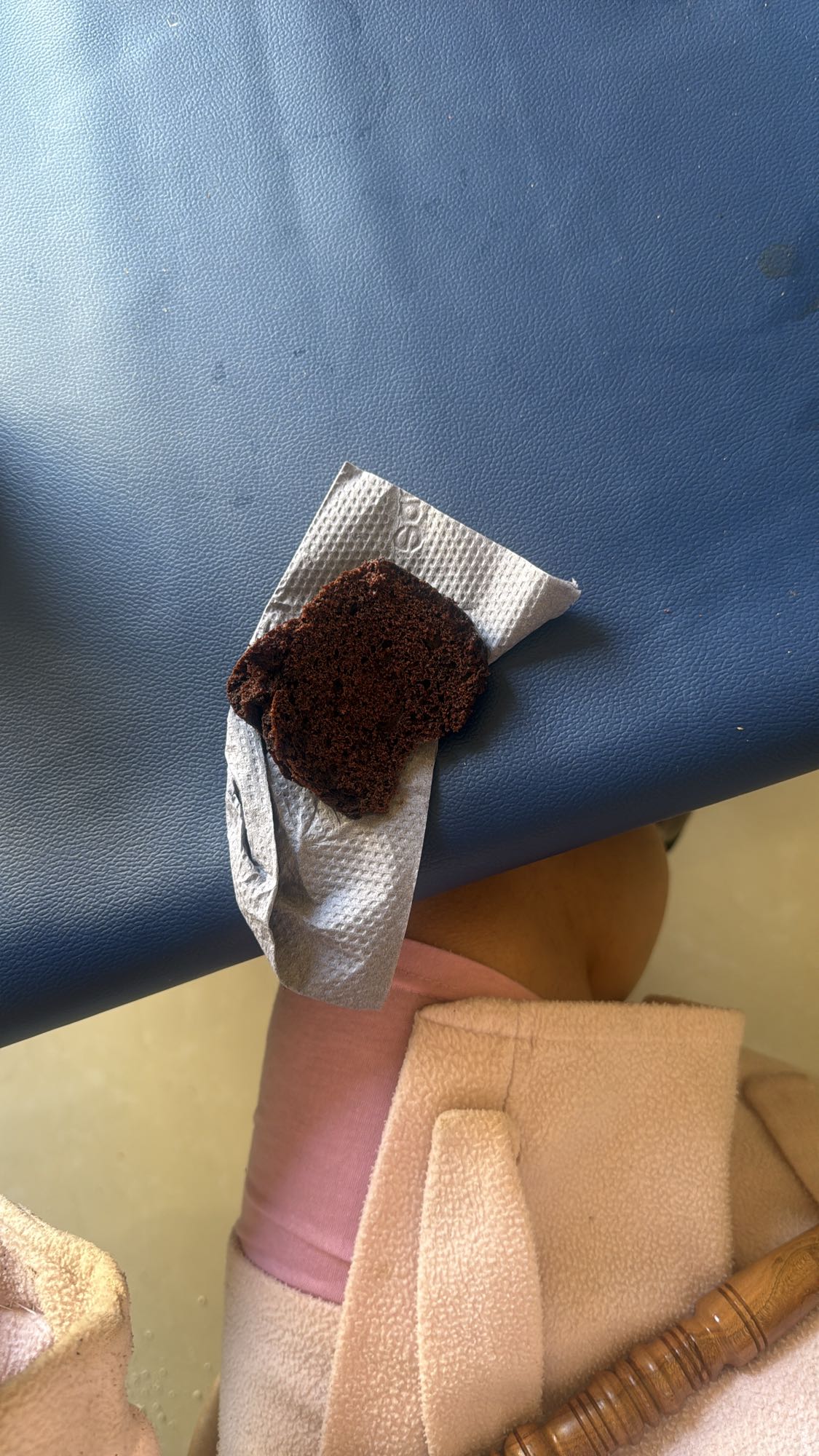 Chocolate Cake Slice
