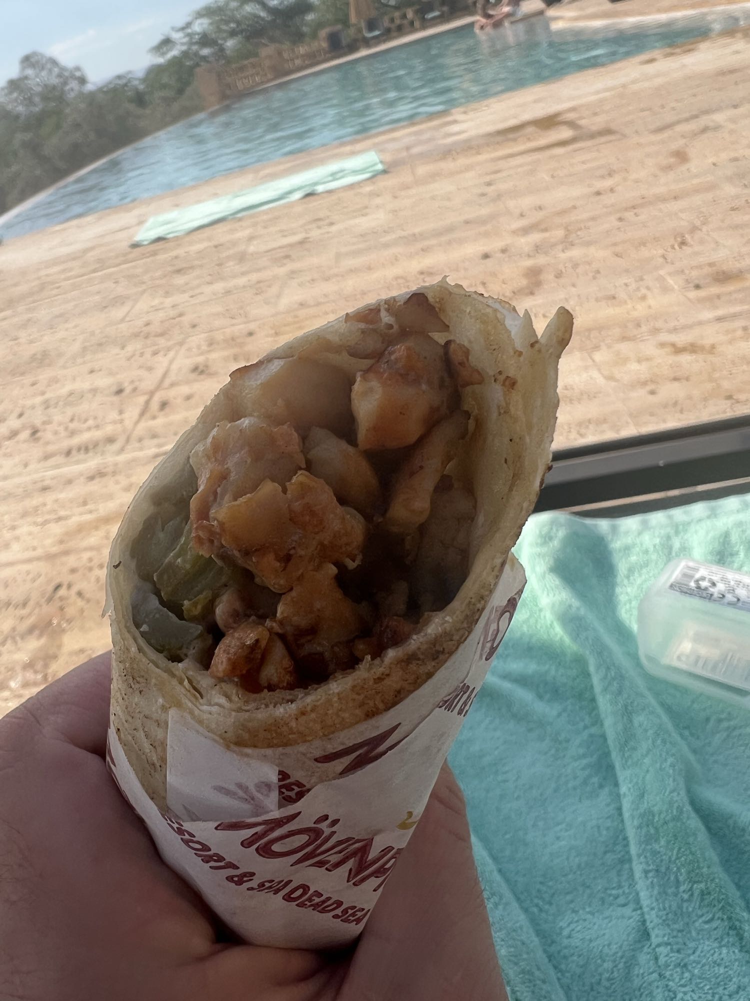 Chicken Wrap