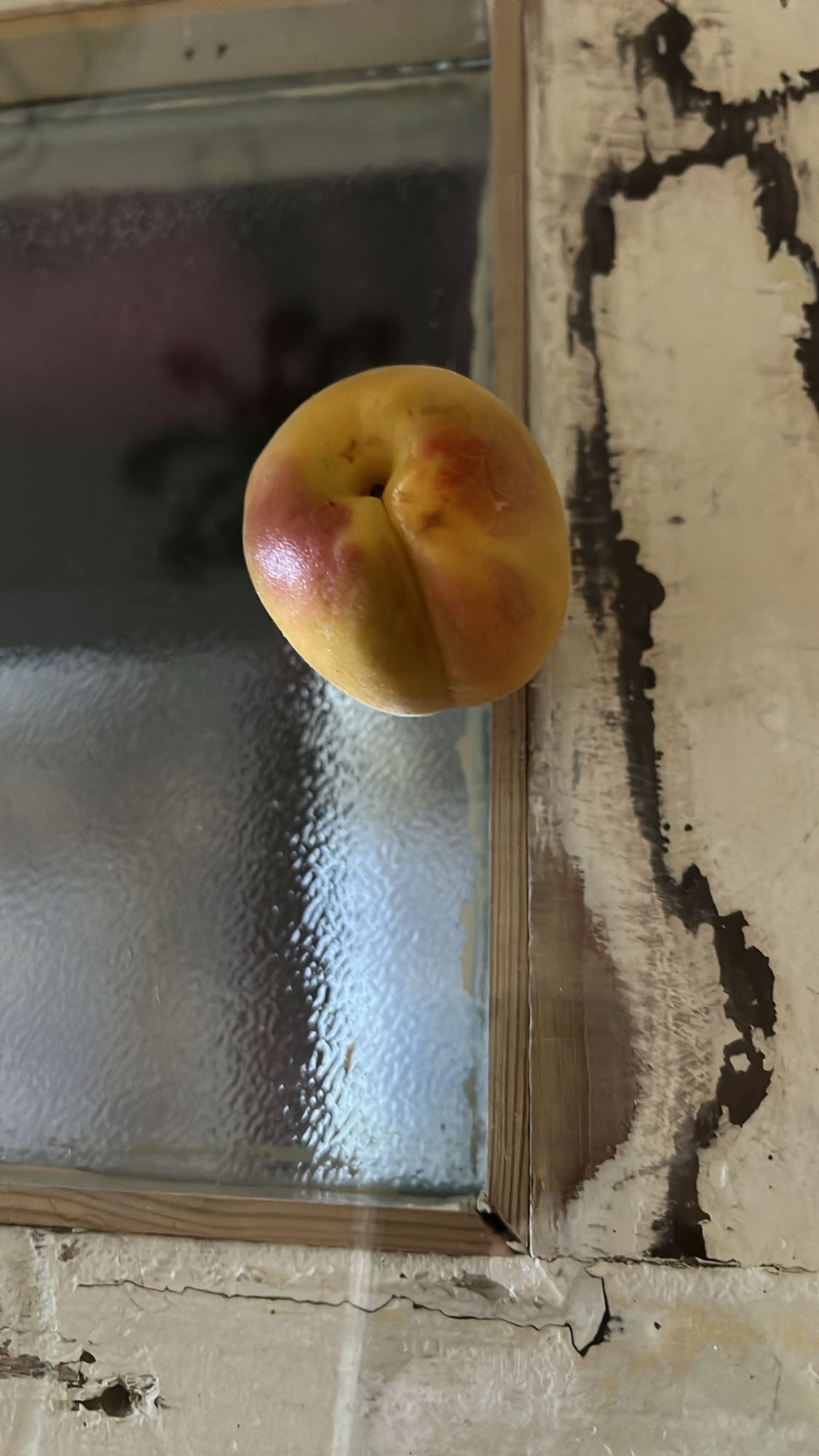 Fresh Peach