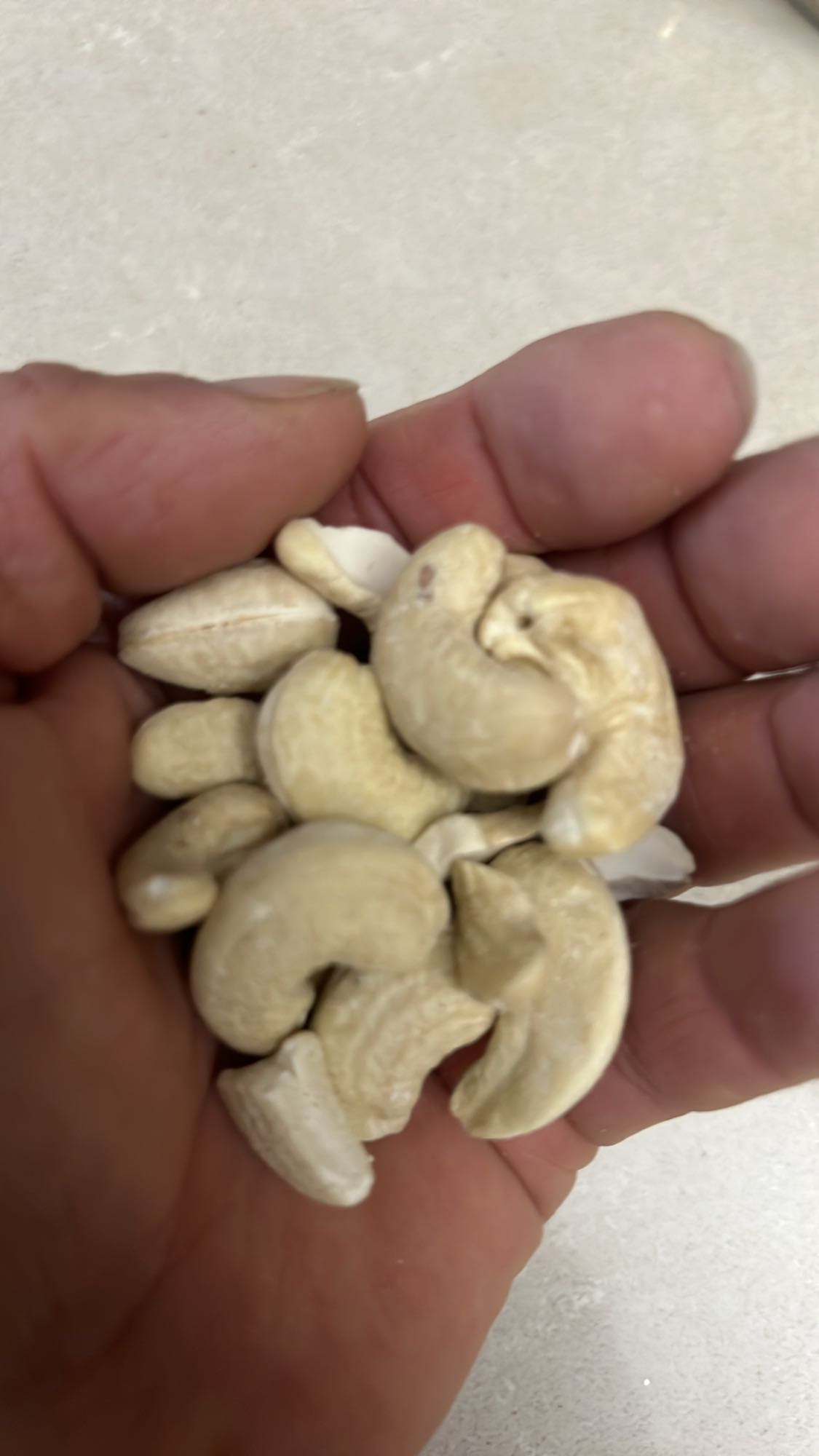 Anacardi