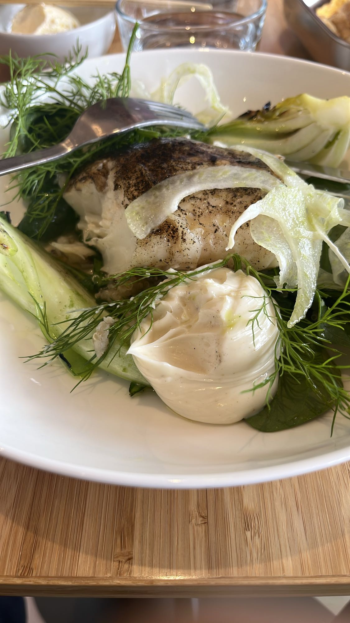 Torsk med fänkål
