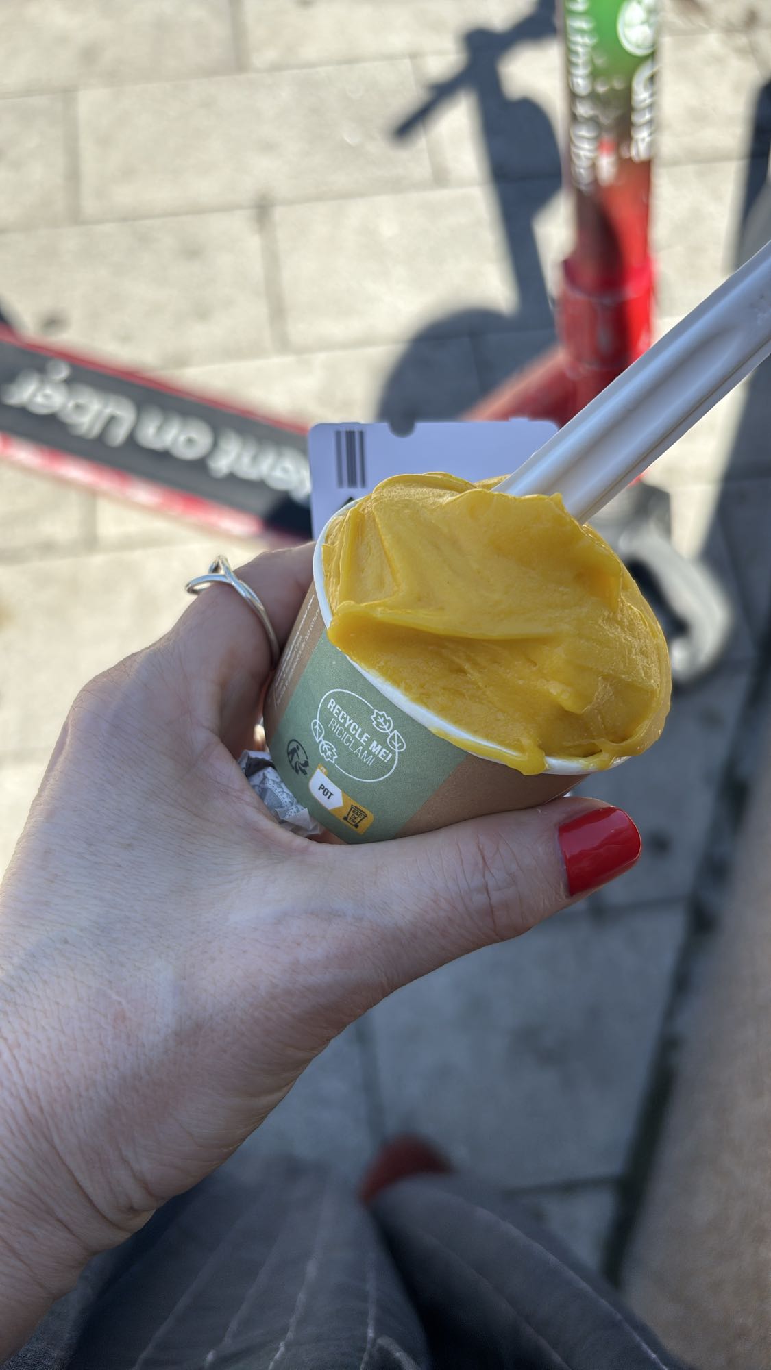 Inghetata de mango