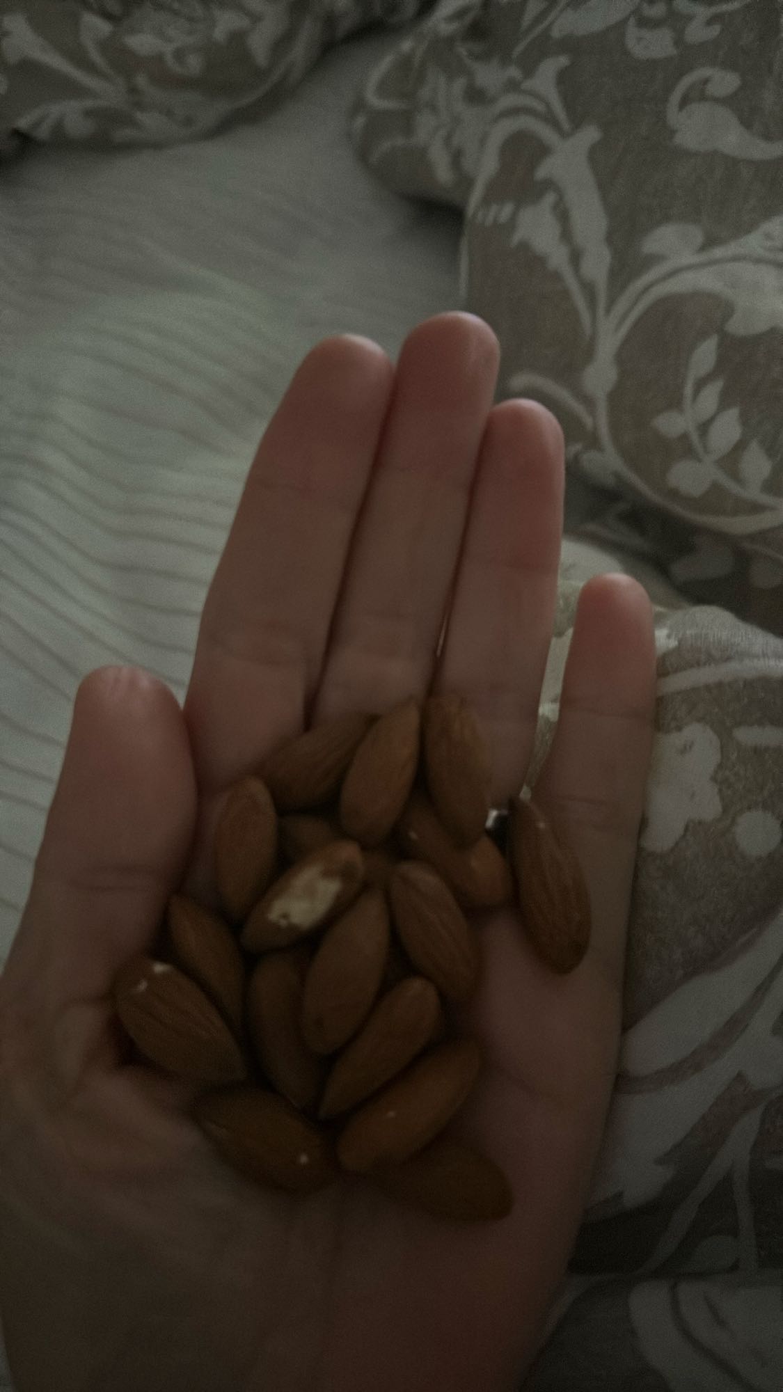 Handful of almonds