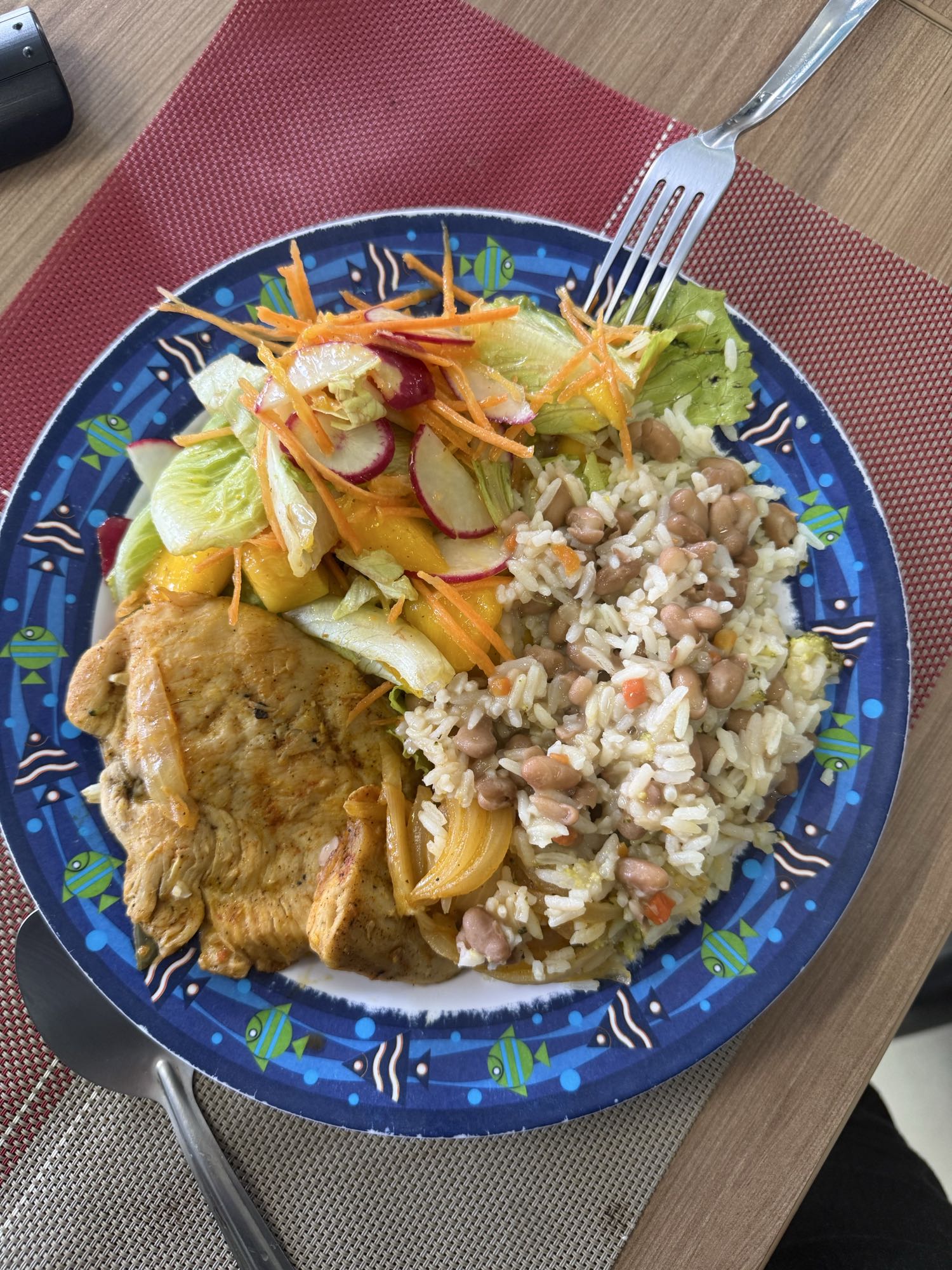 Frango com arroz e salada
