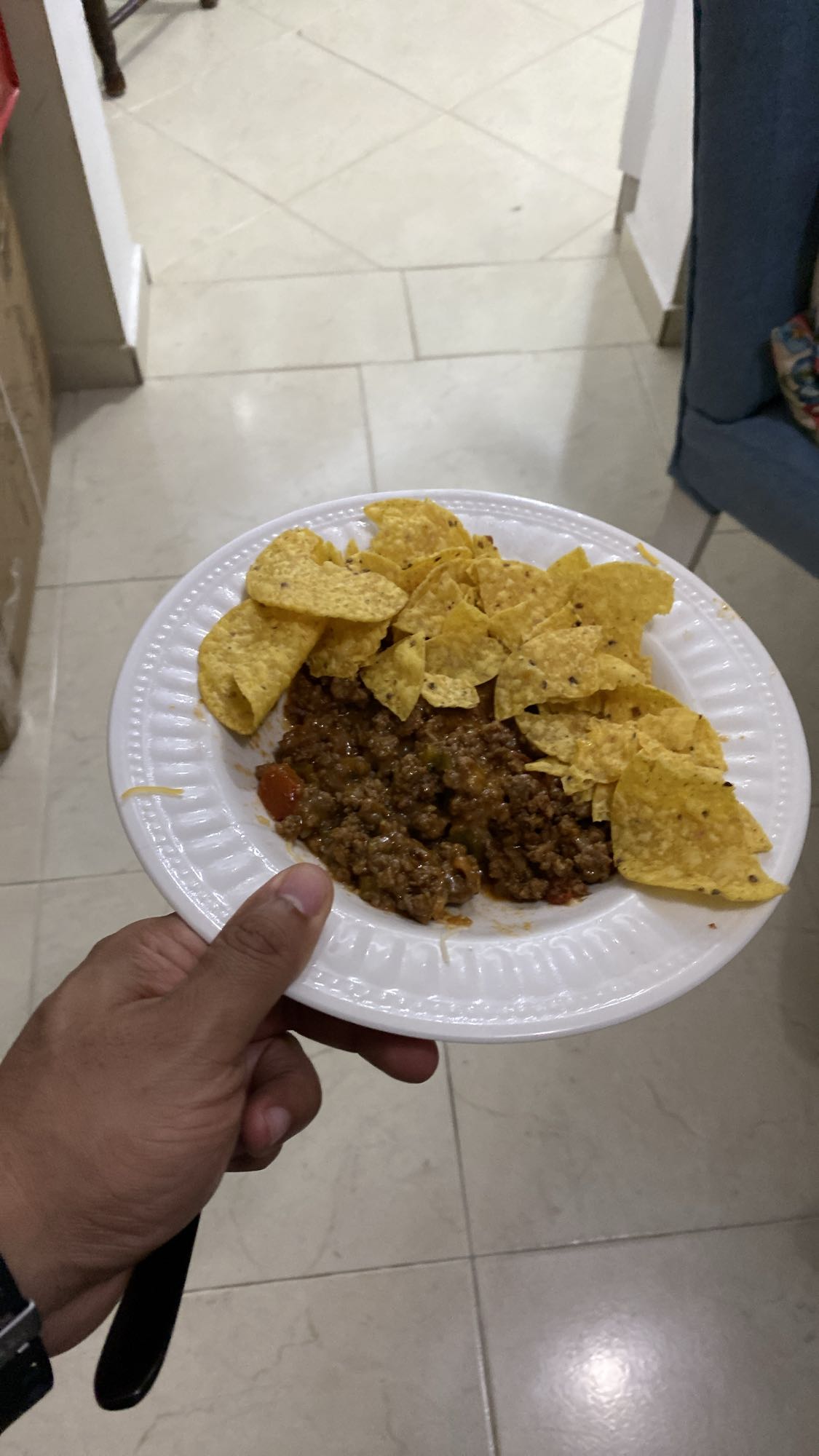 nachos con carne