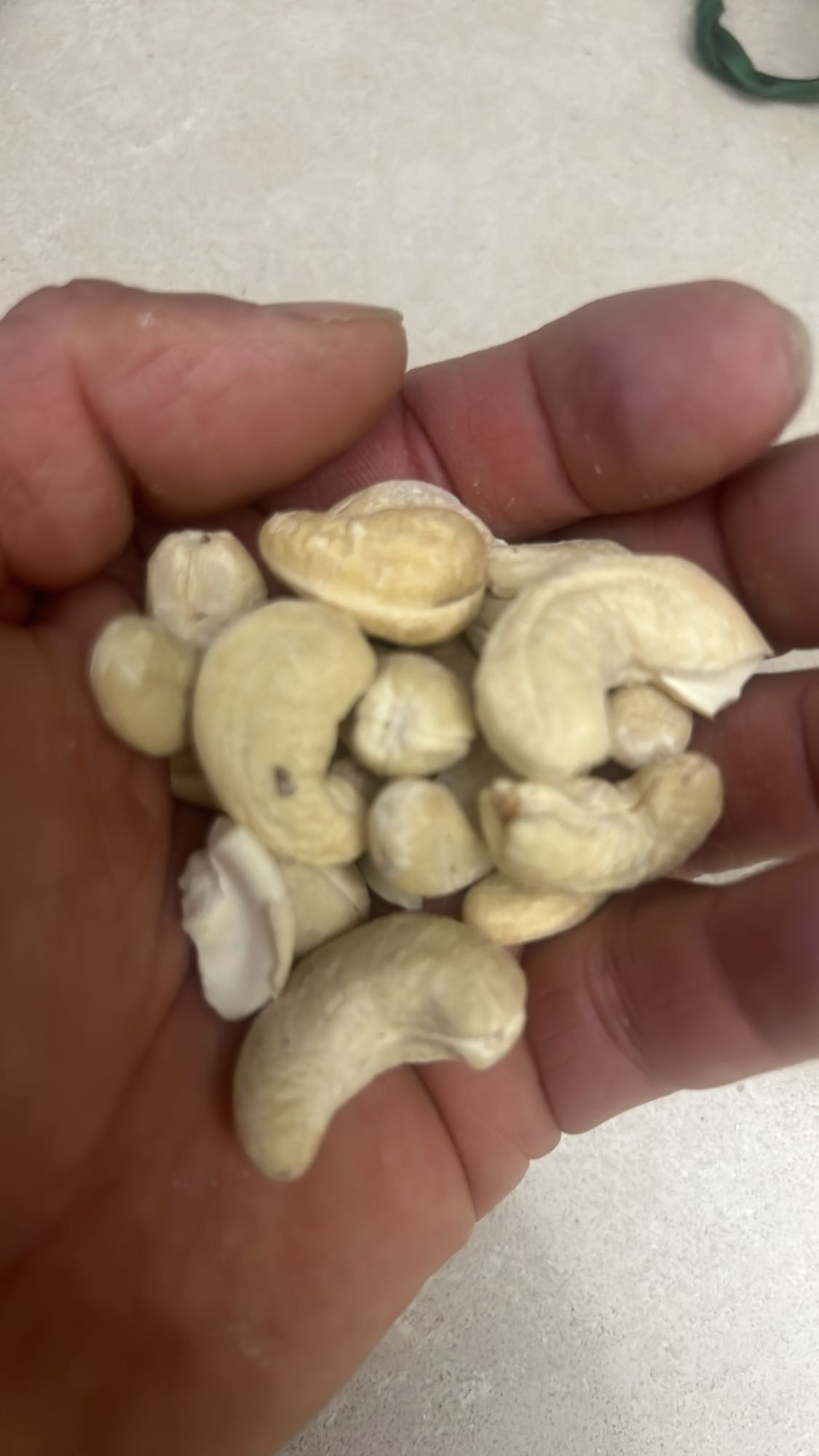 Anacardi